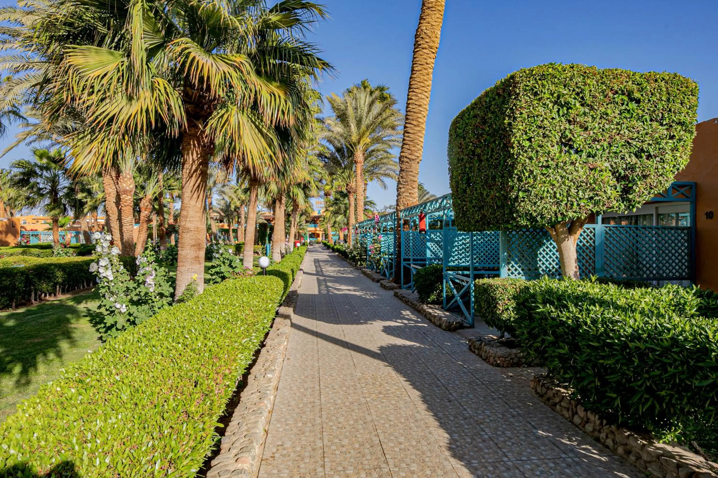 Garden in Giftun Azur Resort