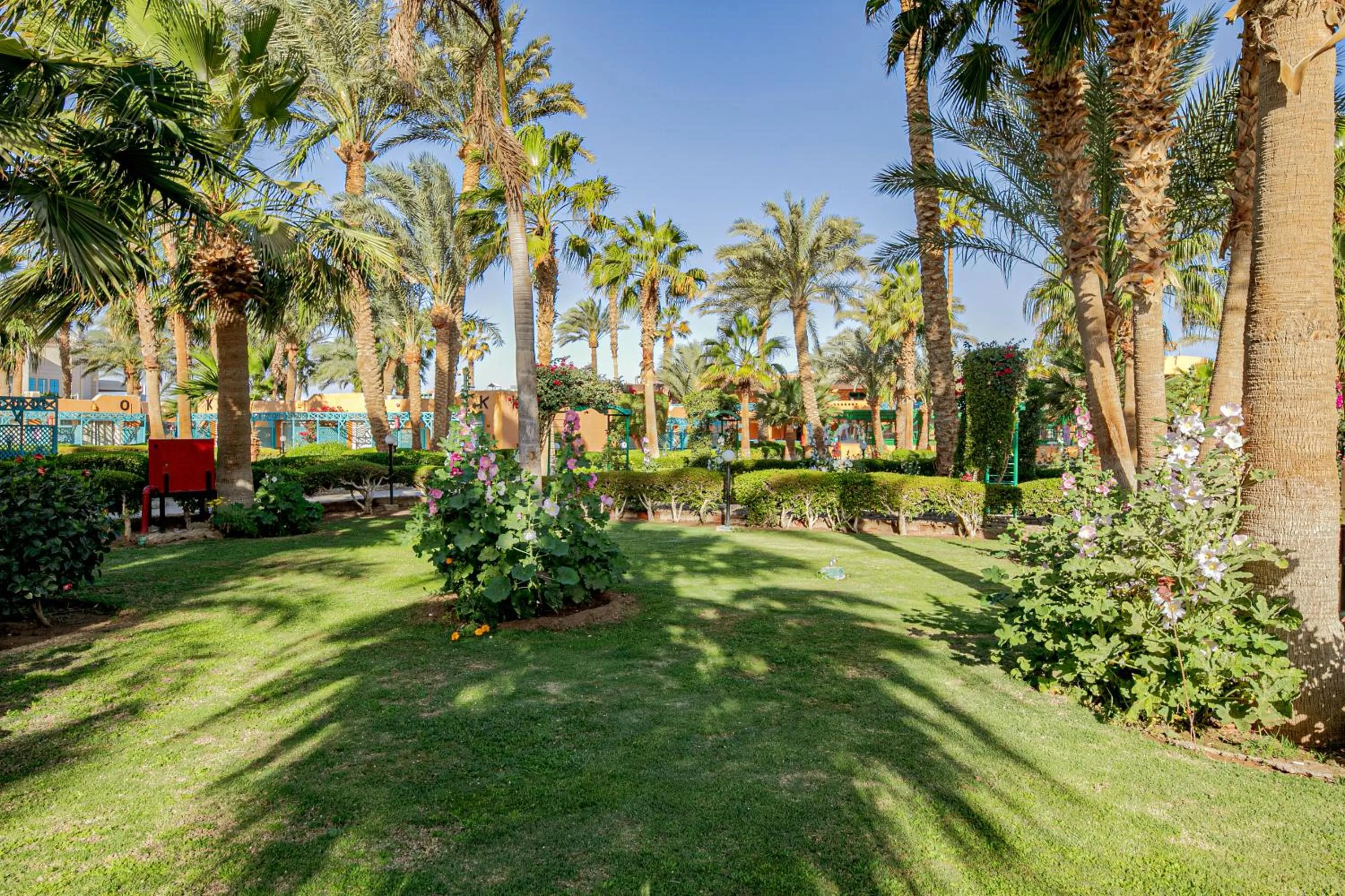 Garden in Giftun Azur Resort