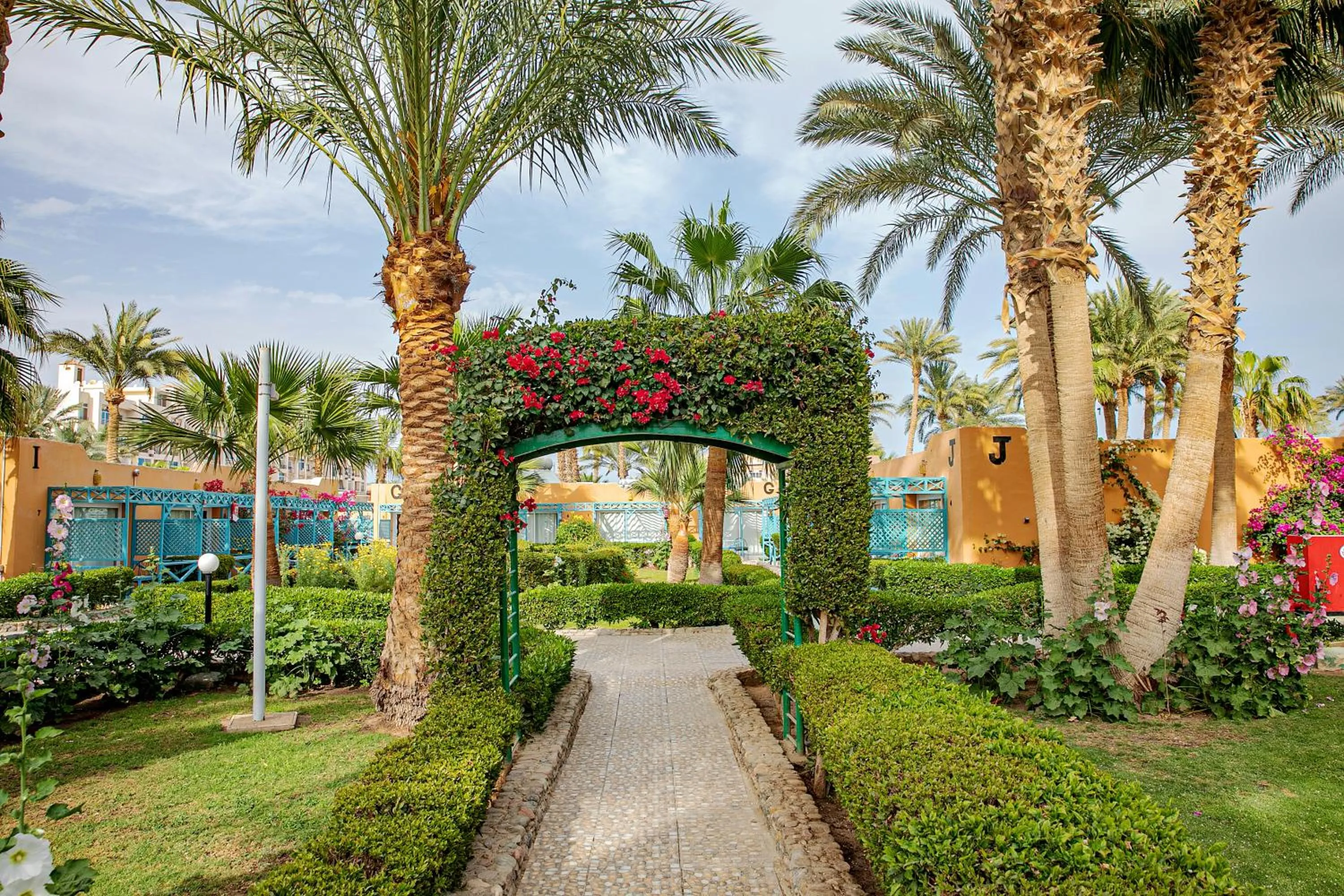 Garden in Giftun Azur Resort