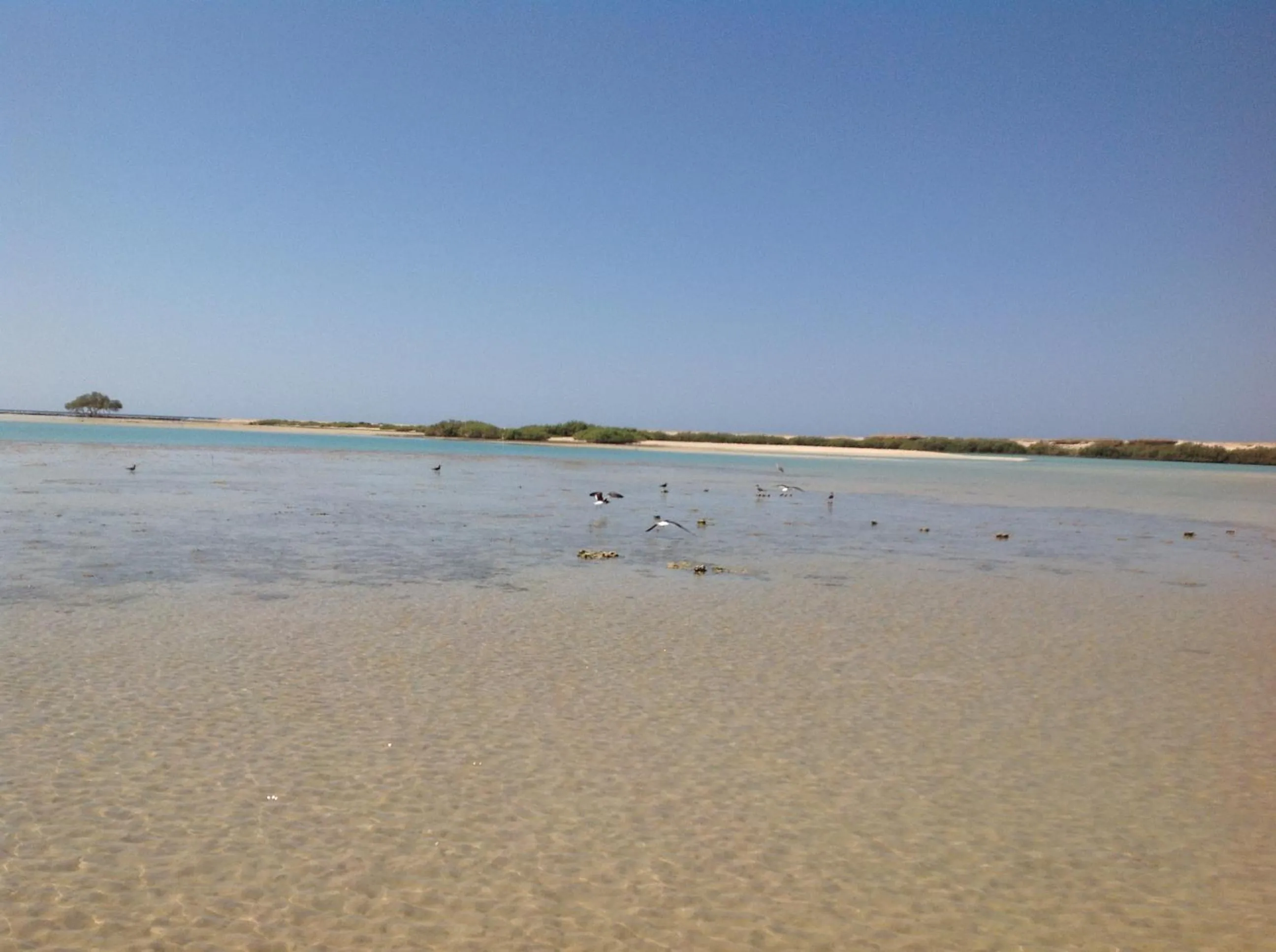 Beach in Wadi Lahmy Azur Resort - Soft All-Inclusive