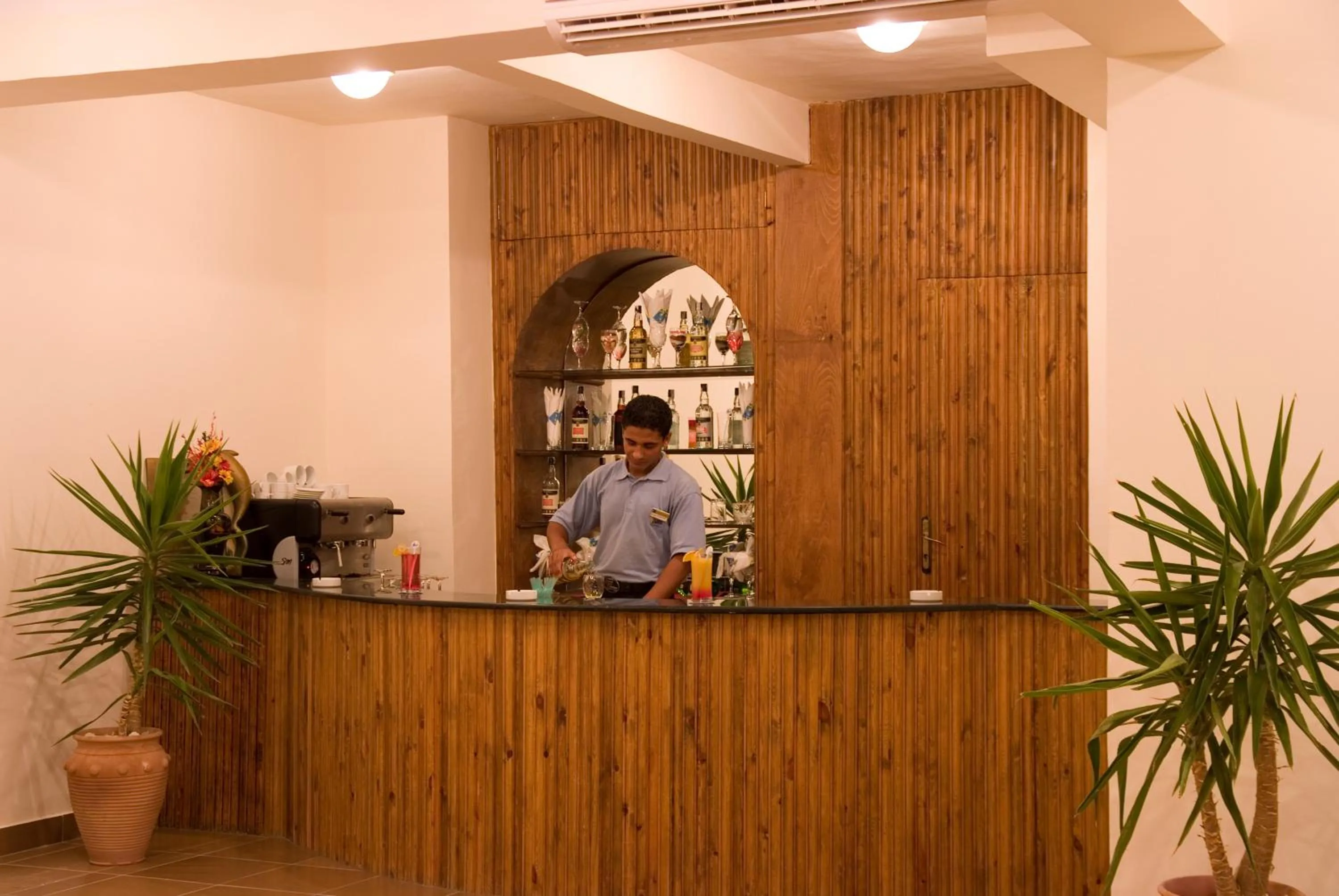 Lounge or bar in Wadi Lahmy Azur Resort - Soft All-Inclusive