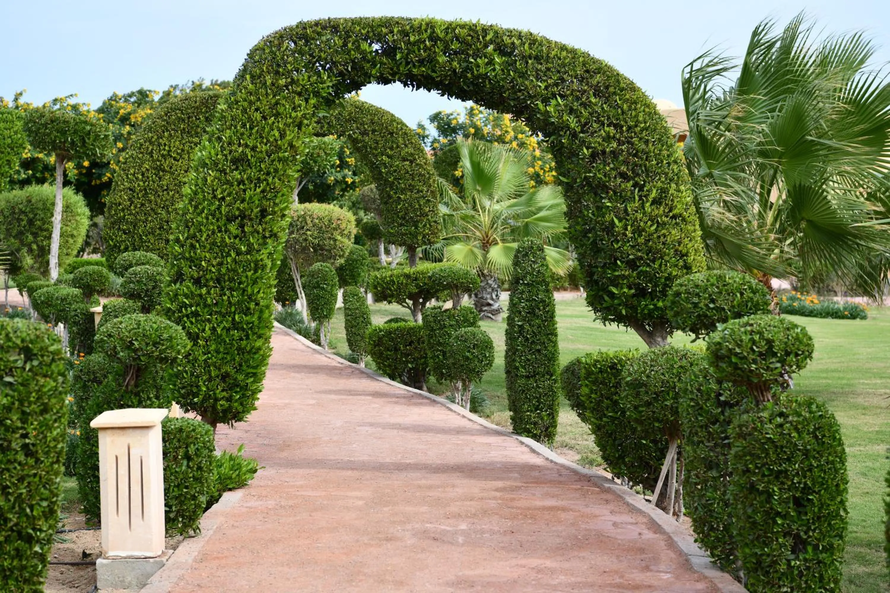 Garden view in Wadi Lahmy Azur Resort - Soft All-Inclusive