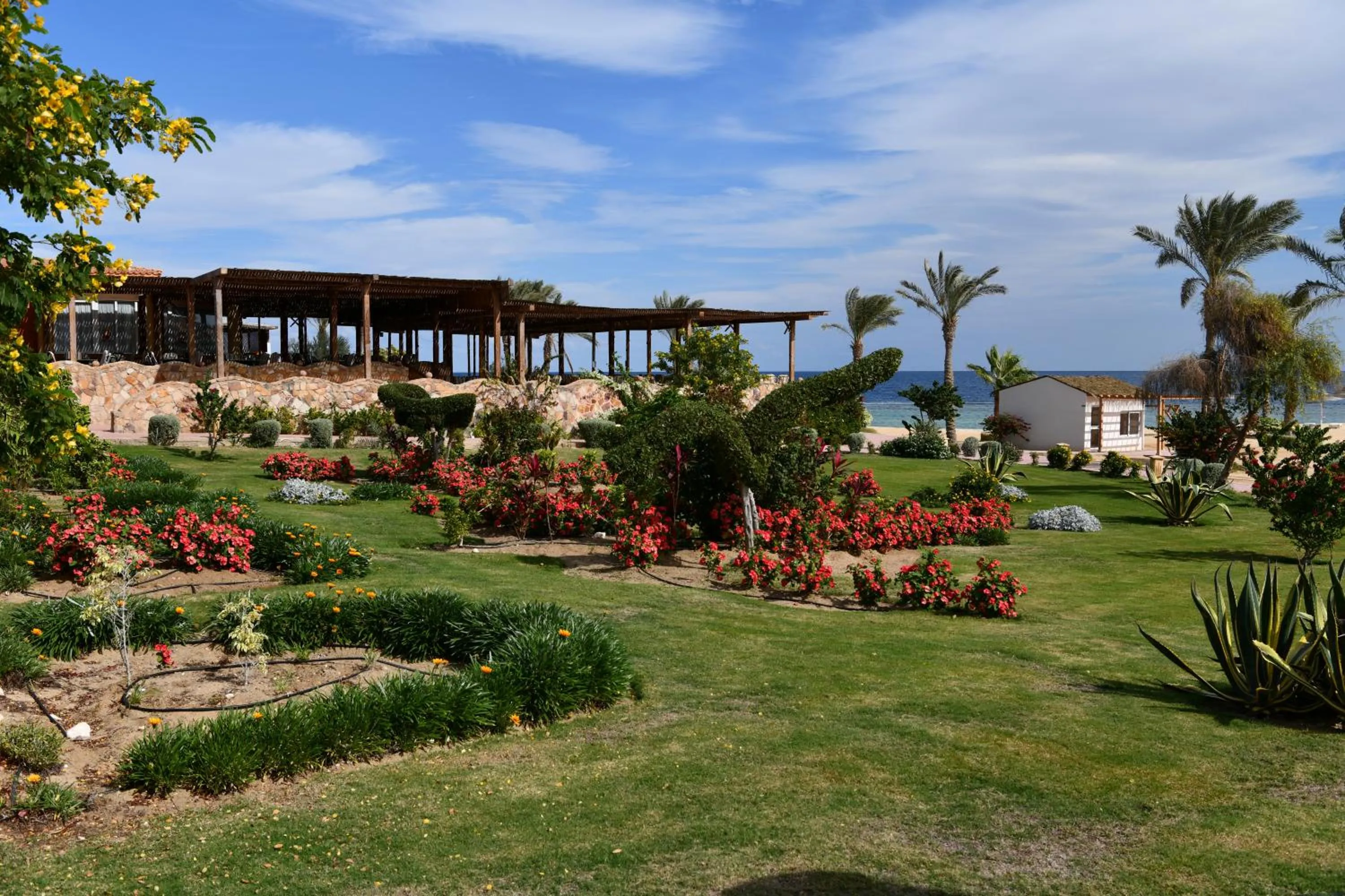 Garden in Wadi Lahmy Azur Resort - Soft All-Inclusive
