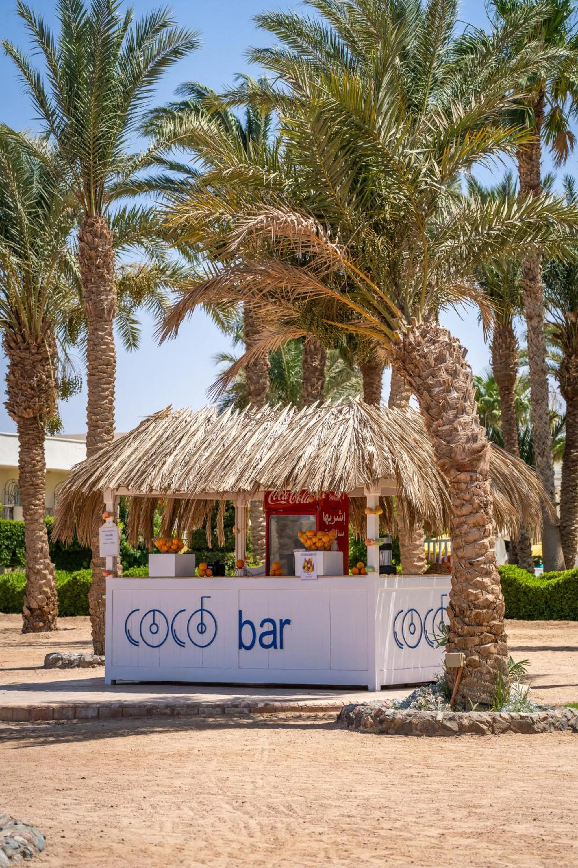 Lounge or bar in Labranda Royal Makadi