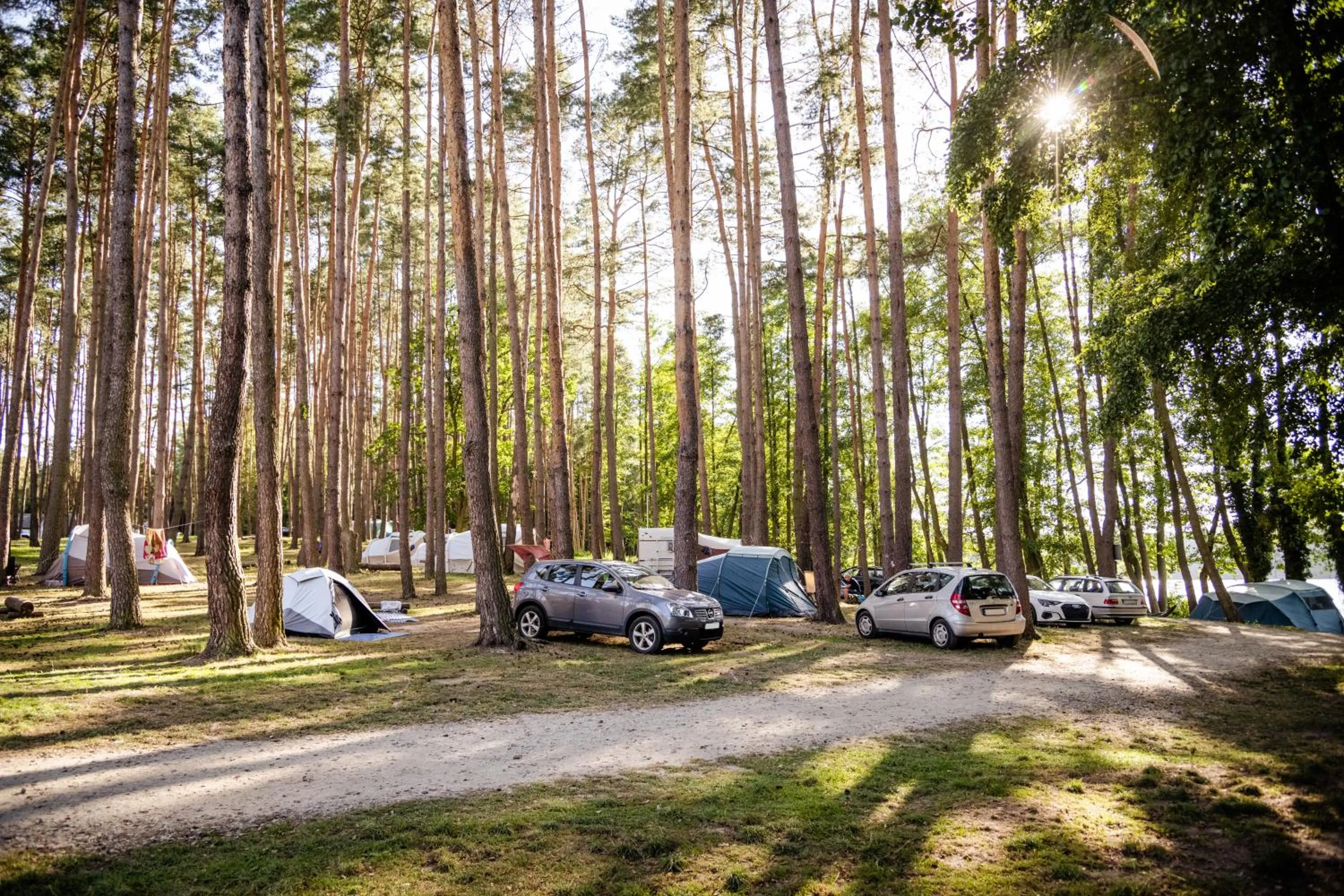Natural landscape in Zacisze,pl Domki Premium i Bungalowy Deluxe nad Jeziorem Łagowskim