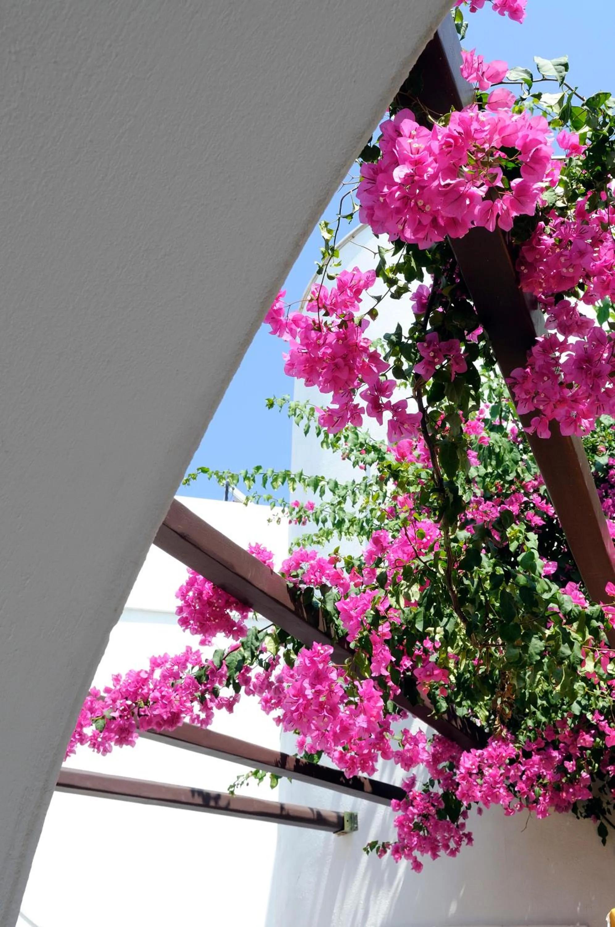 Decorative detail in Sunrise Paros