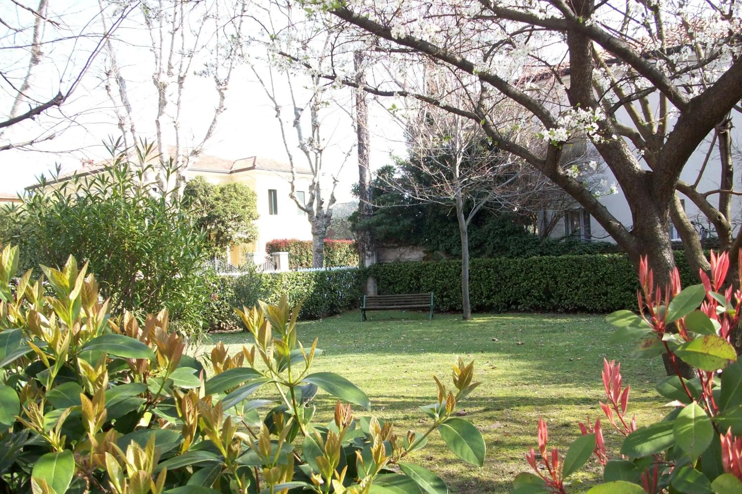 Garden in Luxury House B&B