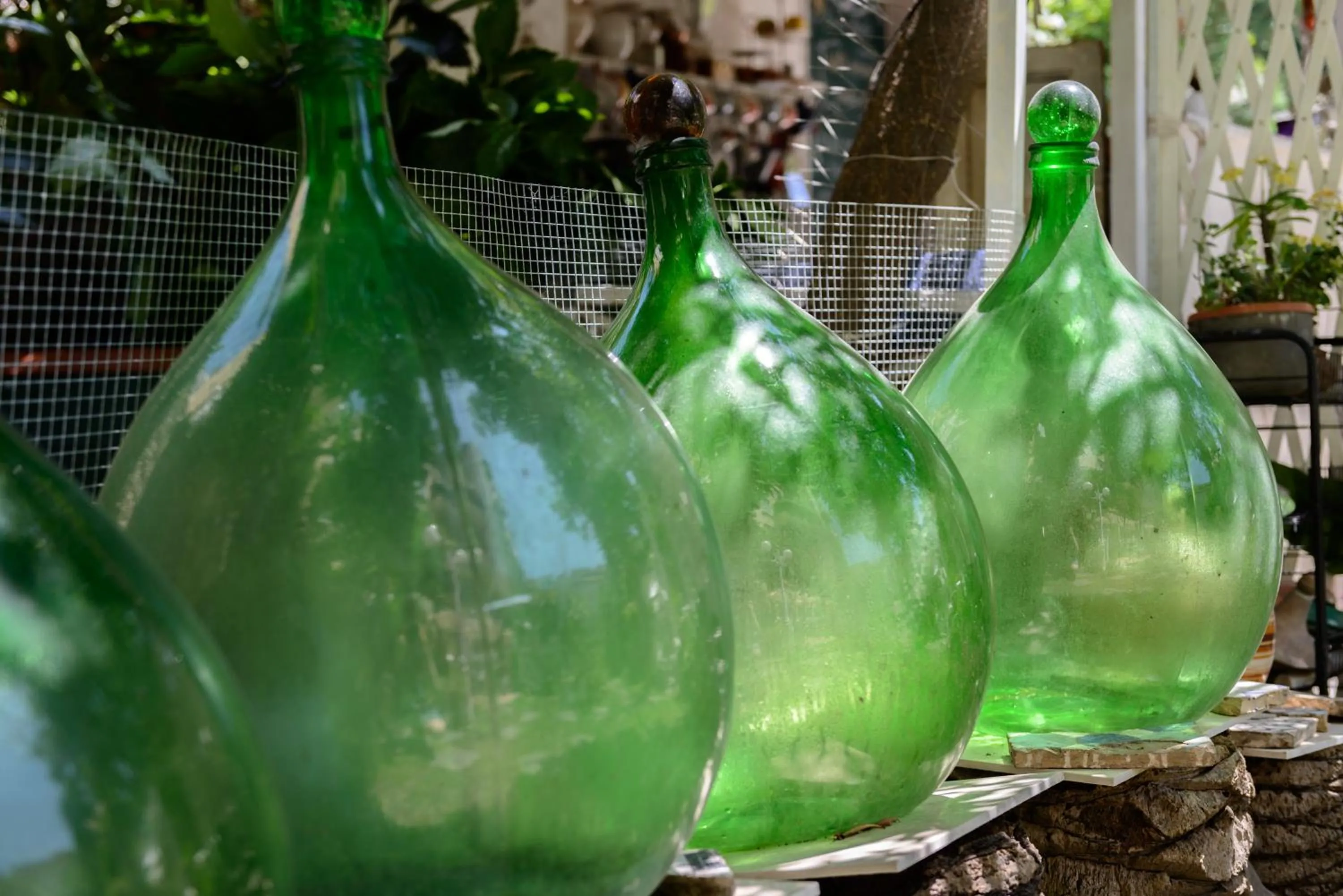 Other in Giardino Segreto