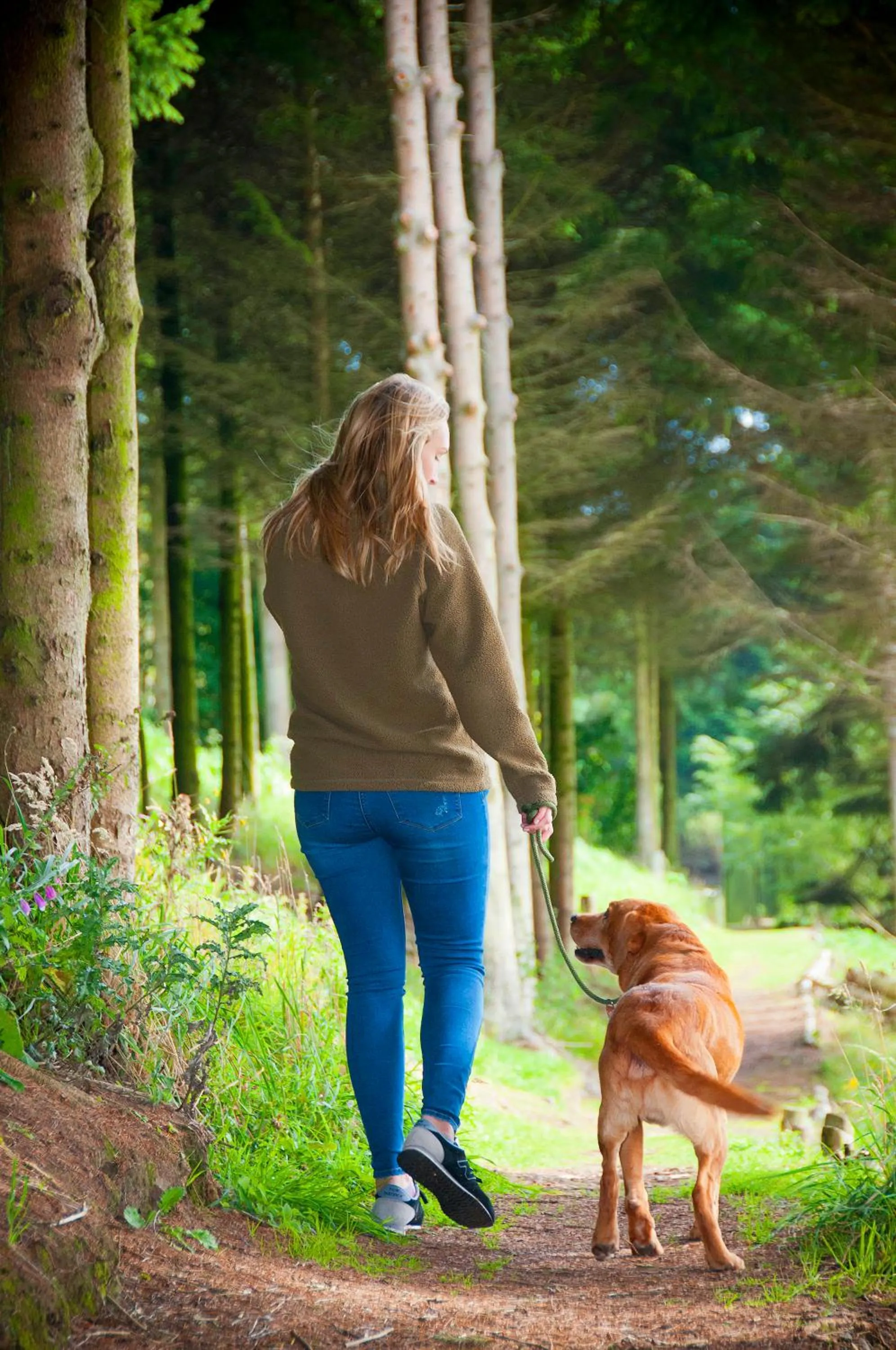 Pets in Forbes of Kingennie