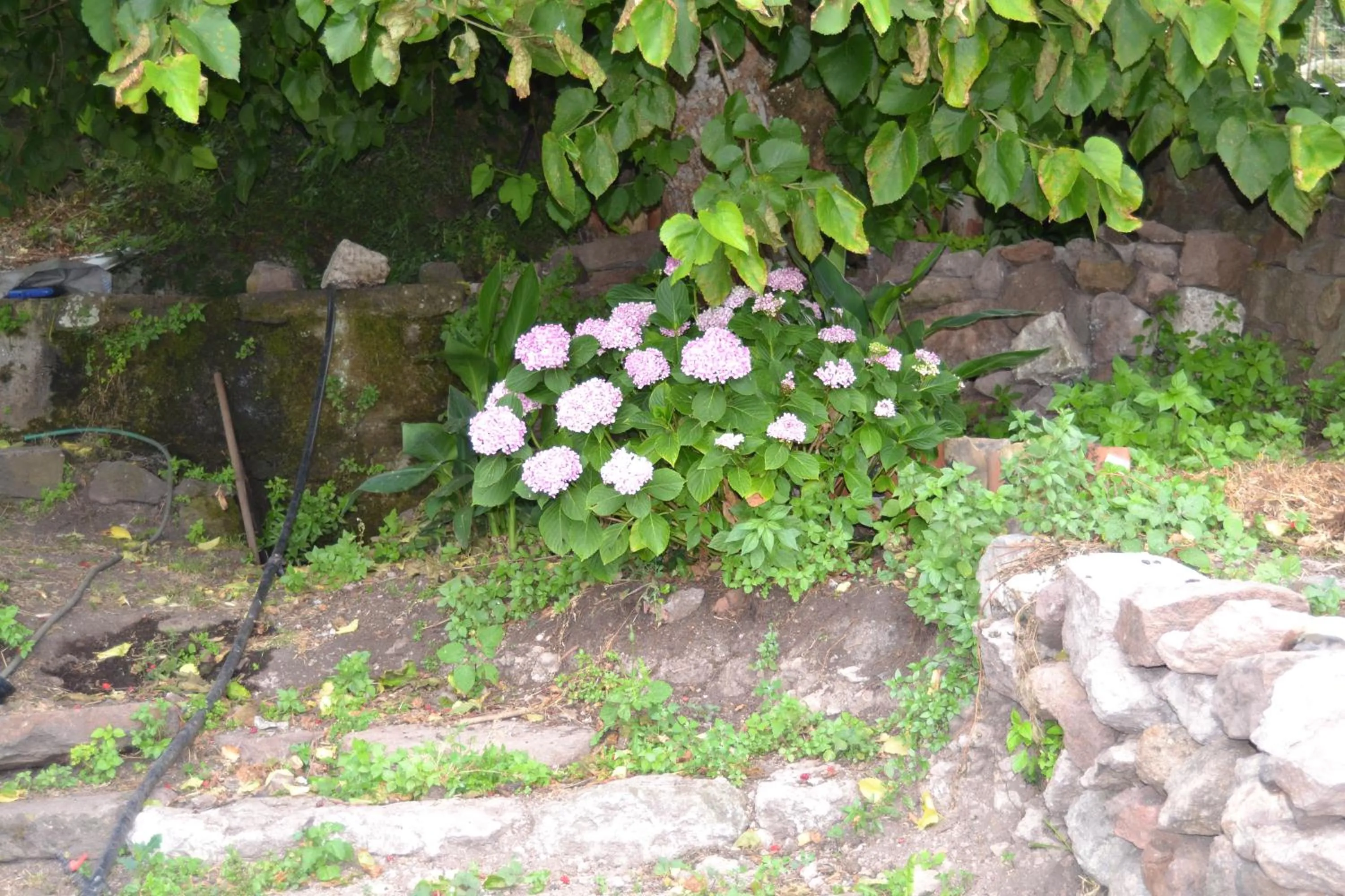 Su Cantaru Guesthouse