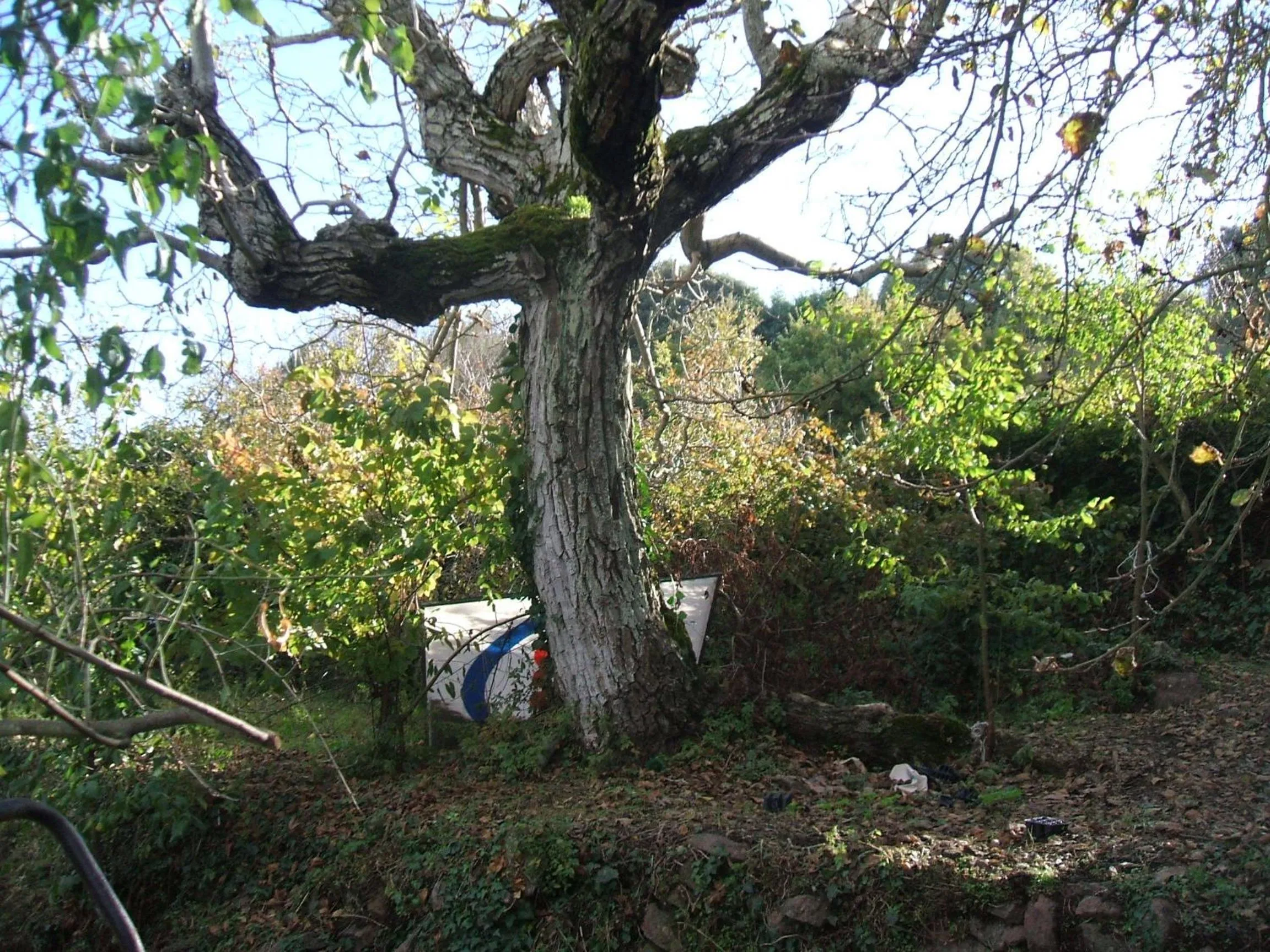 Natural landscape in Su Cantaru Guesthouse