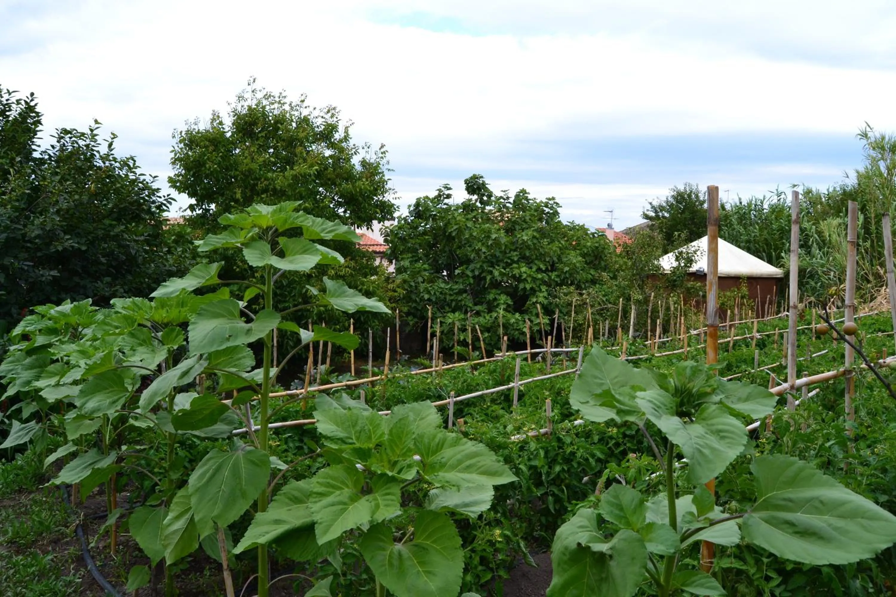 Su Cantaru Guesthouse