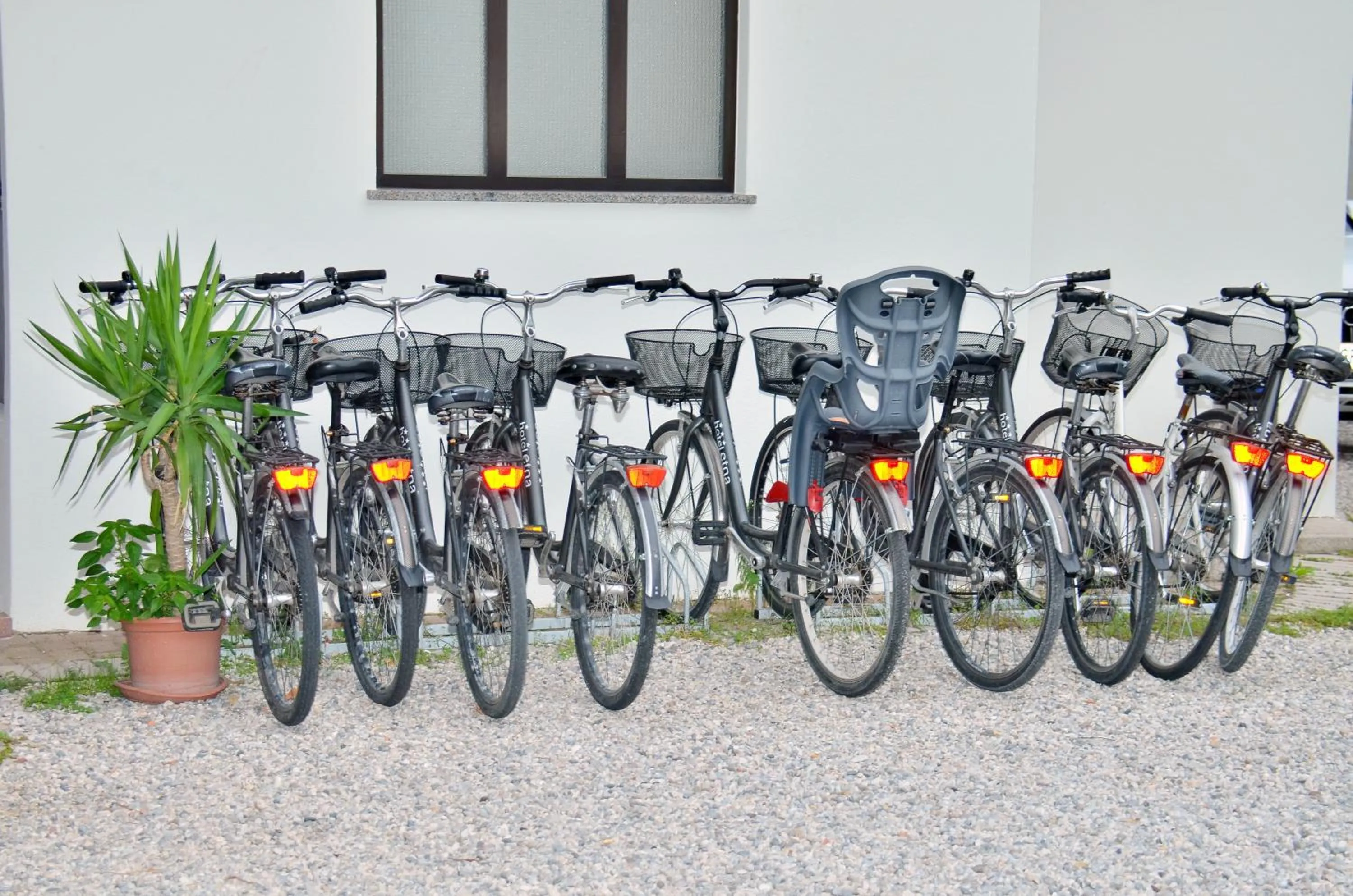 Cycling in Hotel Etna