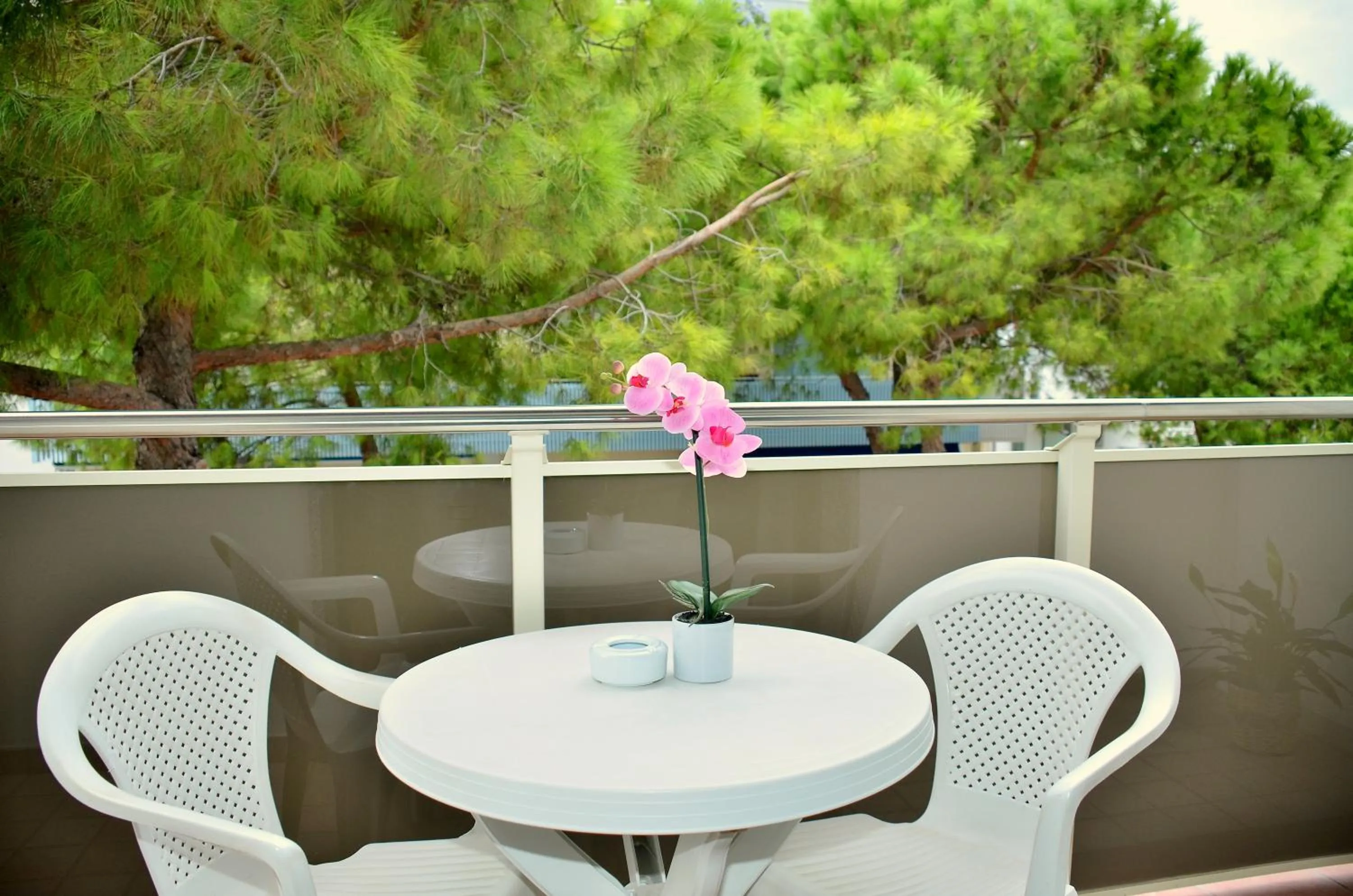 Balcony/Terrace in Hotel Etna