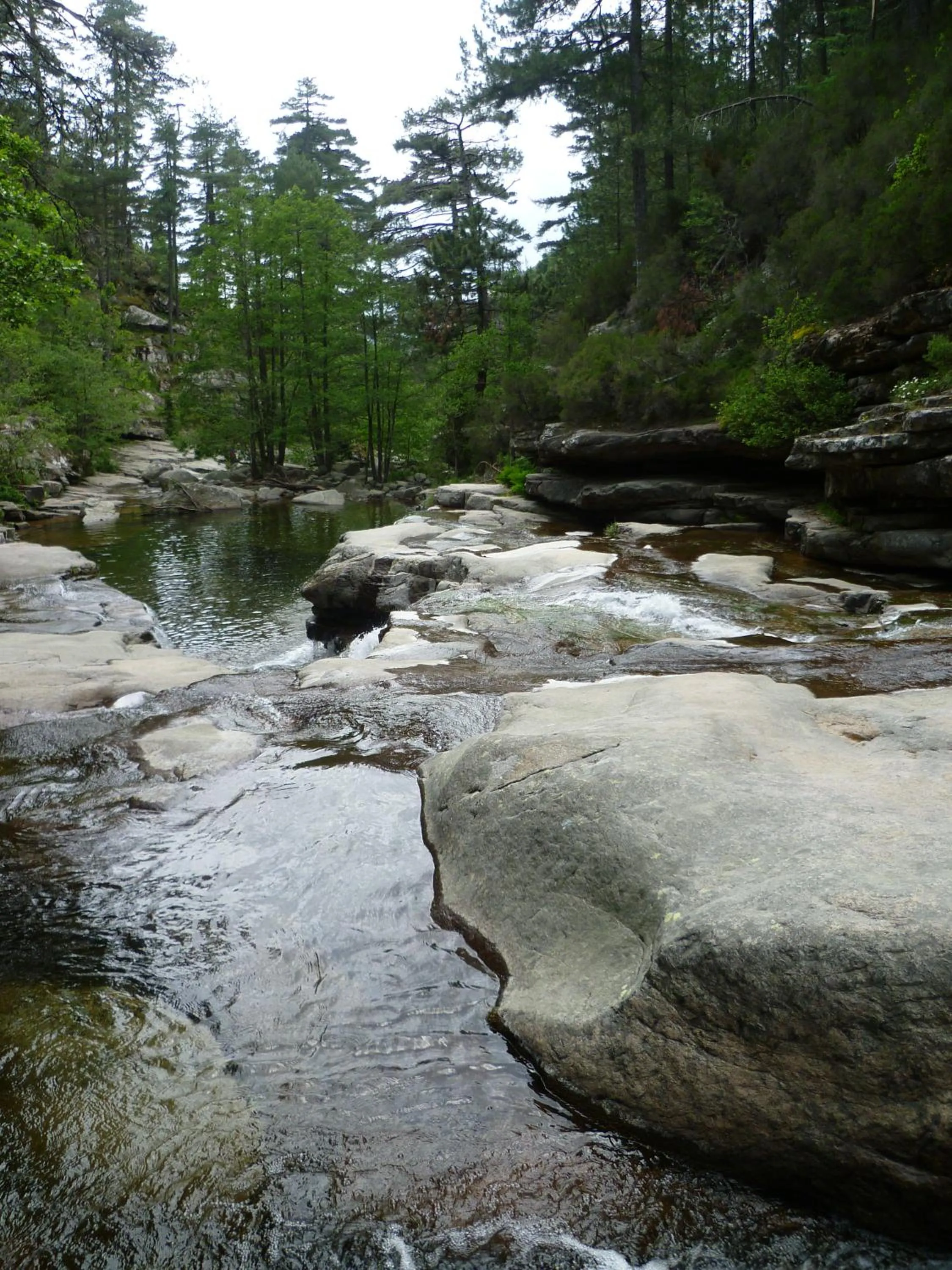 Area and facilities in Hôtel et Résidence Costa Rossa