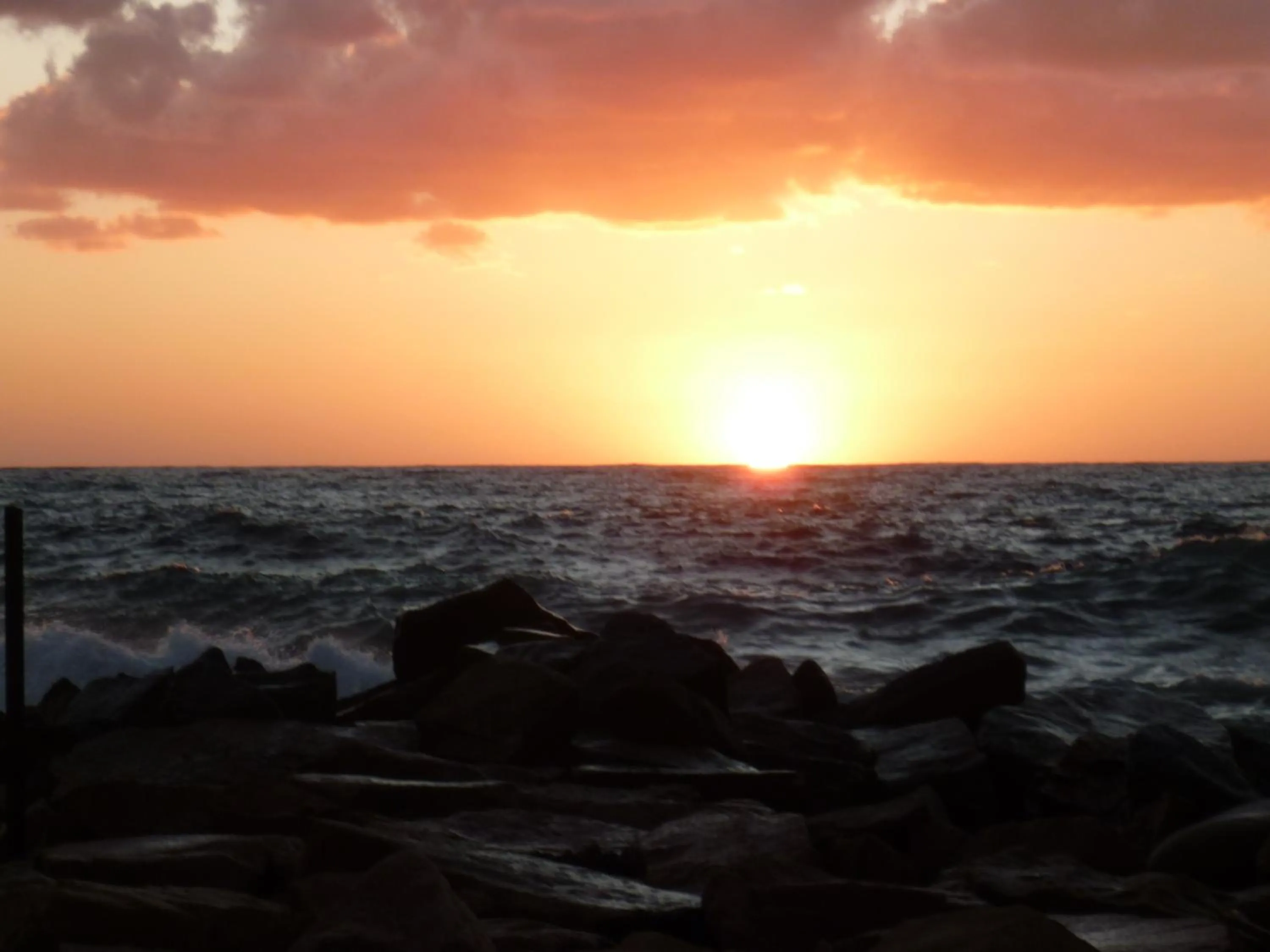 Area and facilities in Hôtel et Résidence Costa Rossa