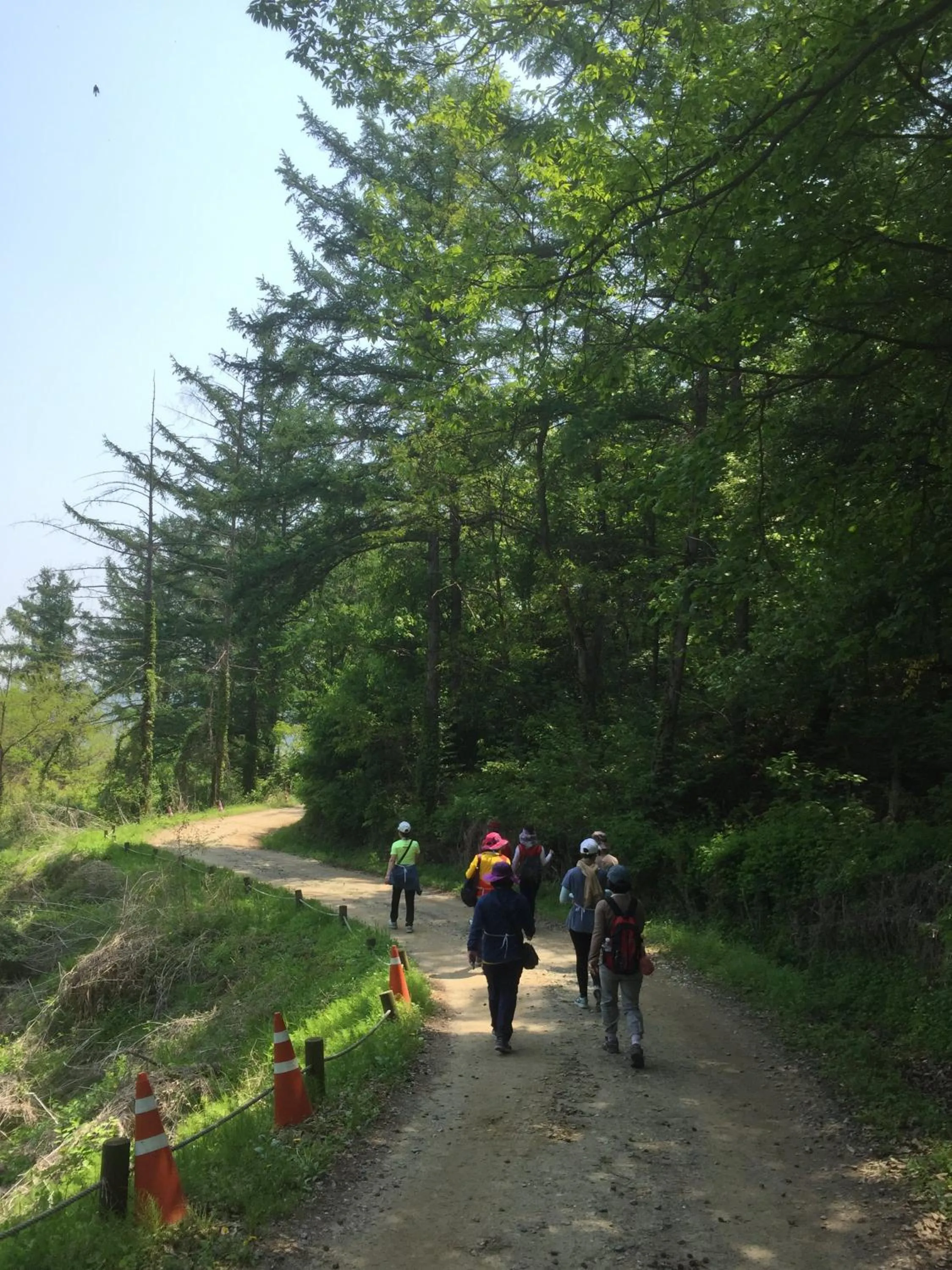 The Guesthouse DMZ Stay