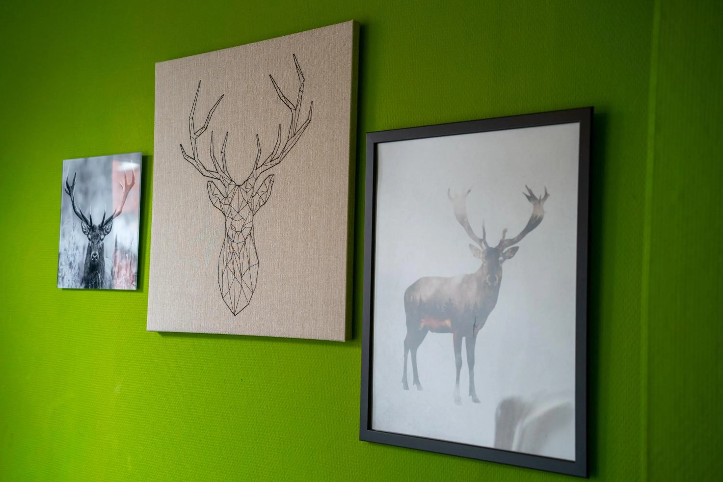 Decorative detail in Simplon Hostel