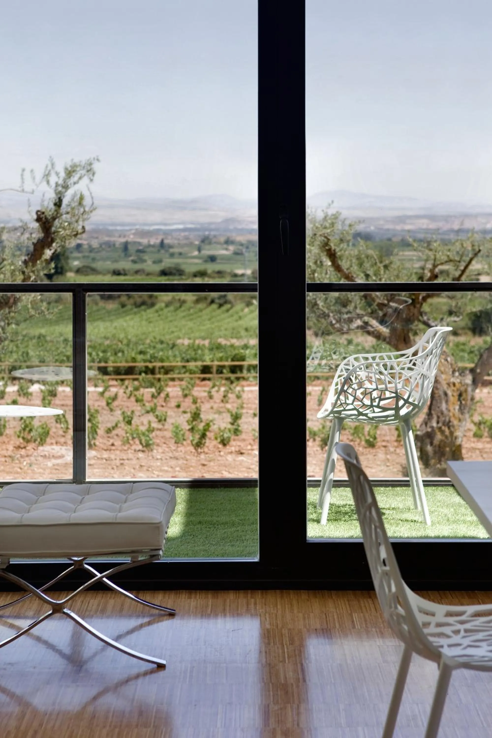 View (from property/room) in Hotel-Bodega Finca de Los Arandinos