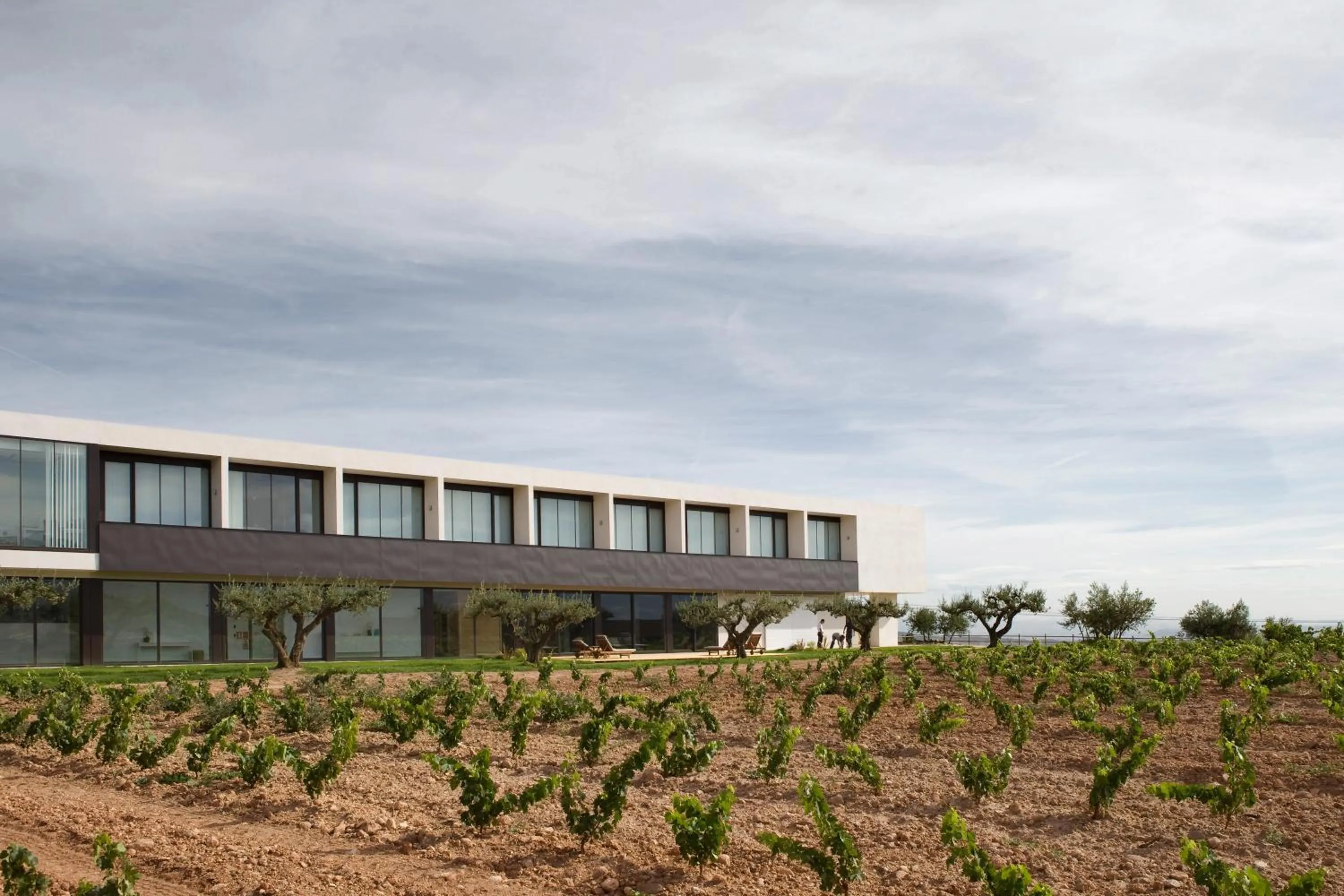 Property building in Hotel-Bodega Finca de Los Arandinos