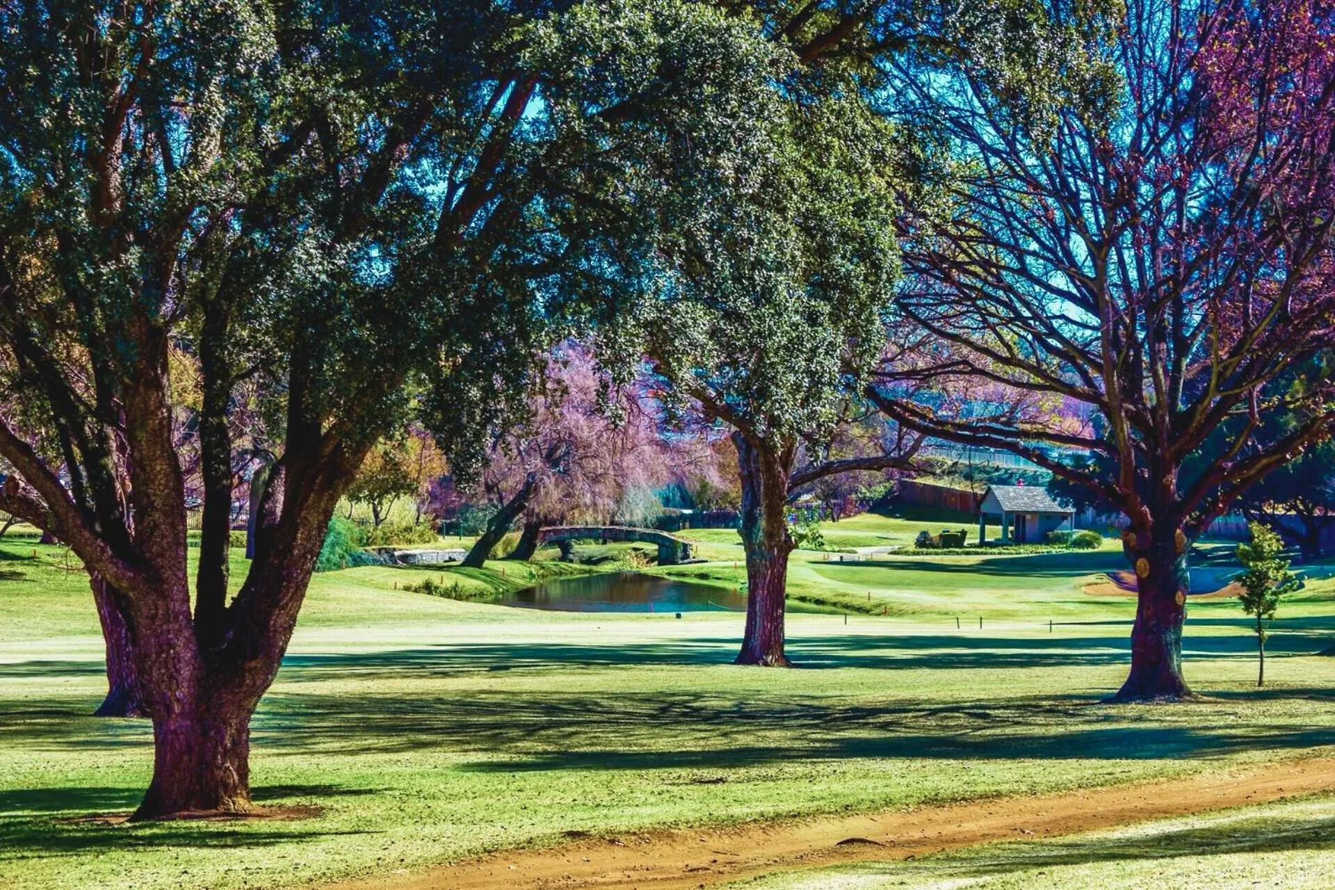 Day in Glendower View Guest House