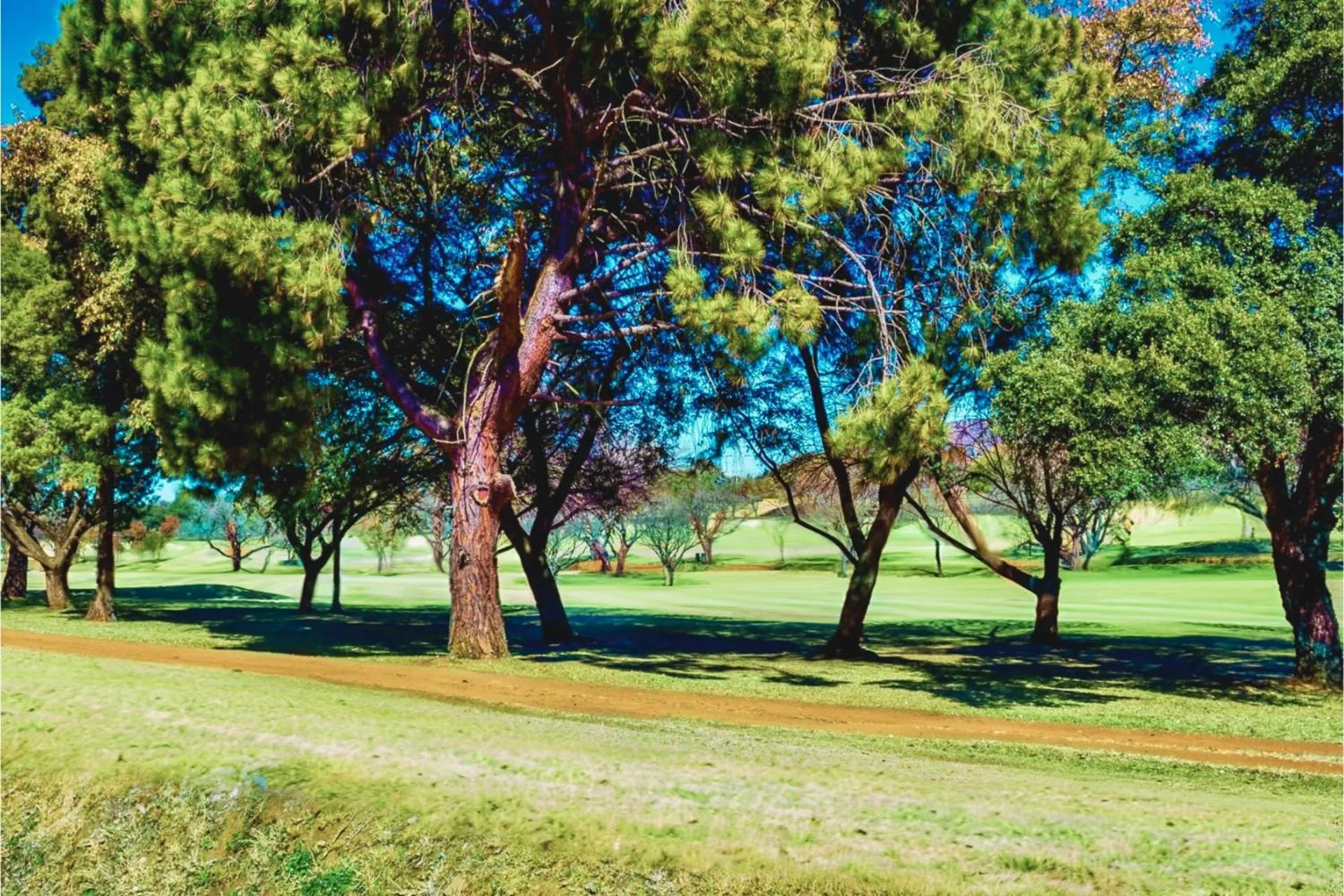 Day in Glendower View Guest House