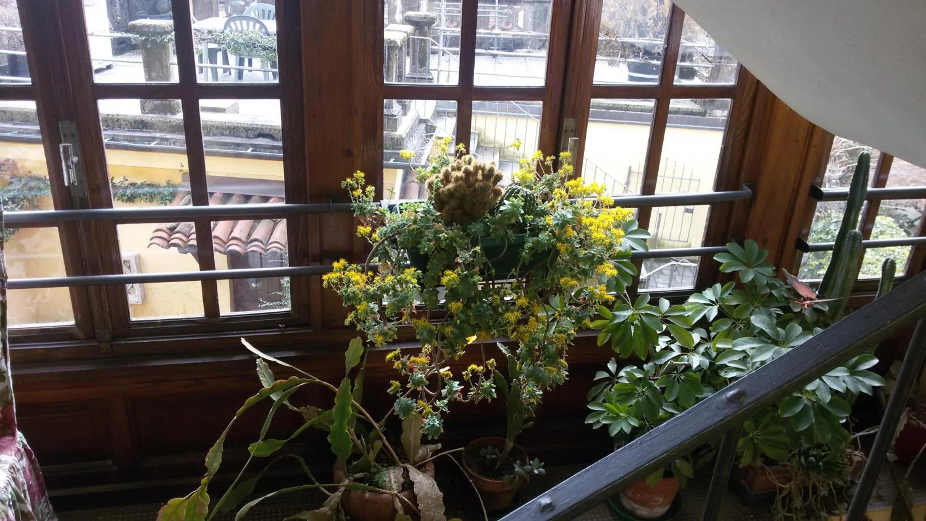 Patio in B&B IL TERRAZZO