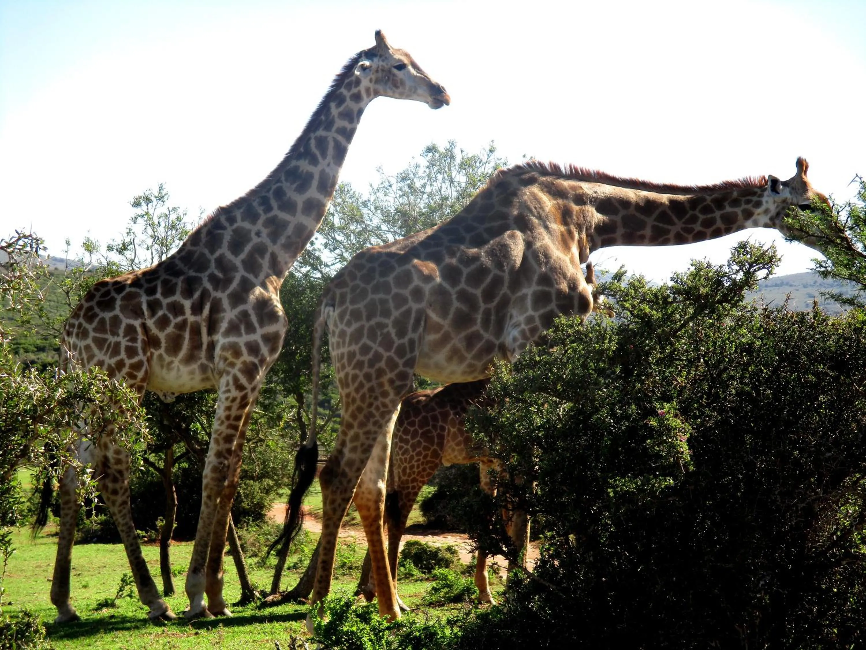 Day in Valley Bushveld Country Lodge