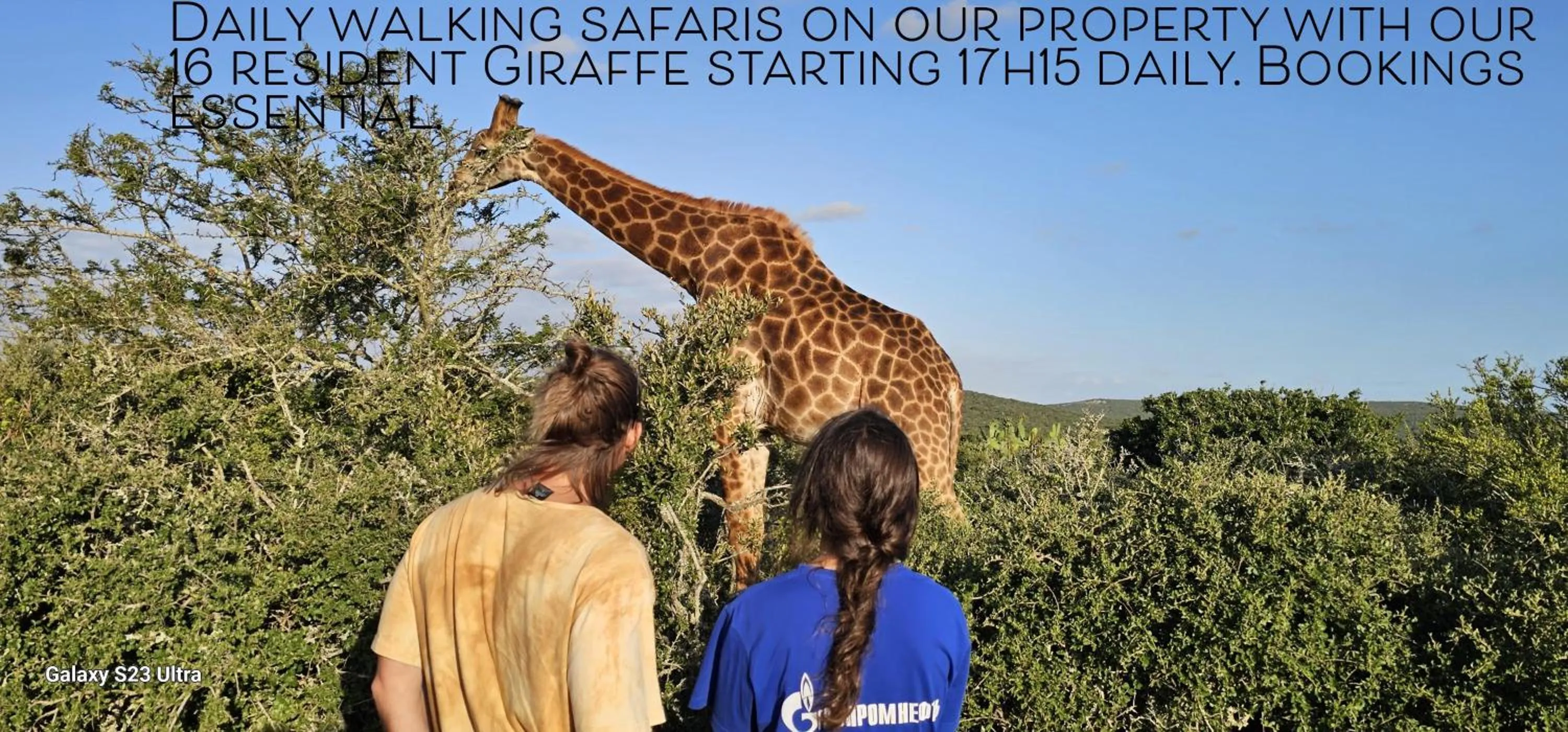 Activities in Valley Bushveld Country Lodge