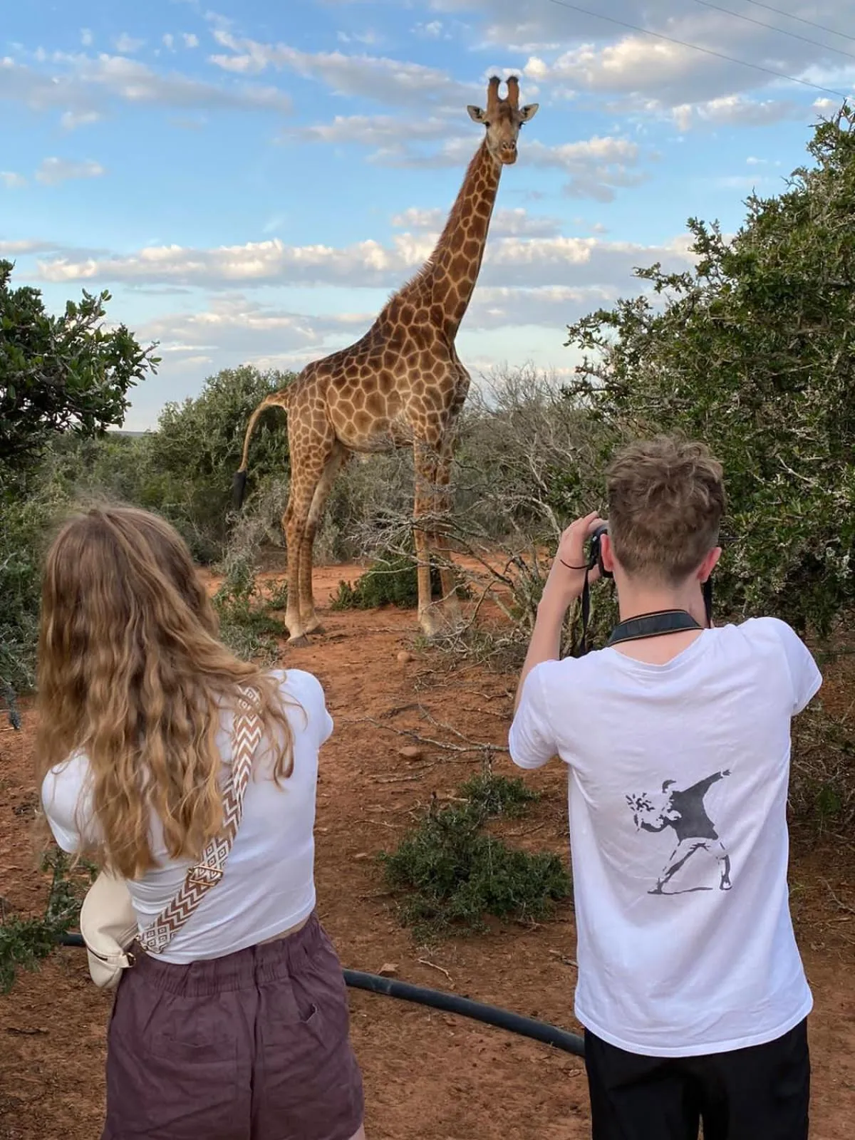 Animals in Valley Bushveld Country Lodge