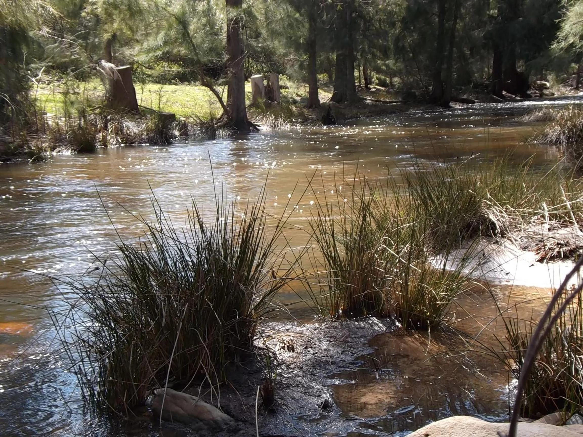 Natural landscape in Valley Bushveld Country Lodge