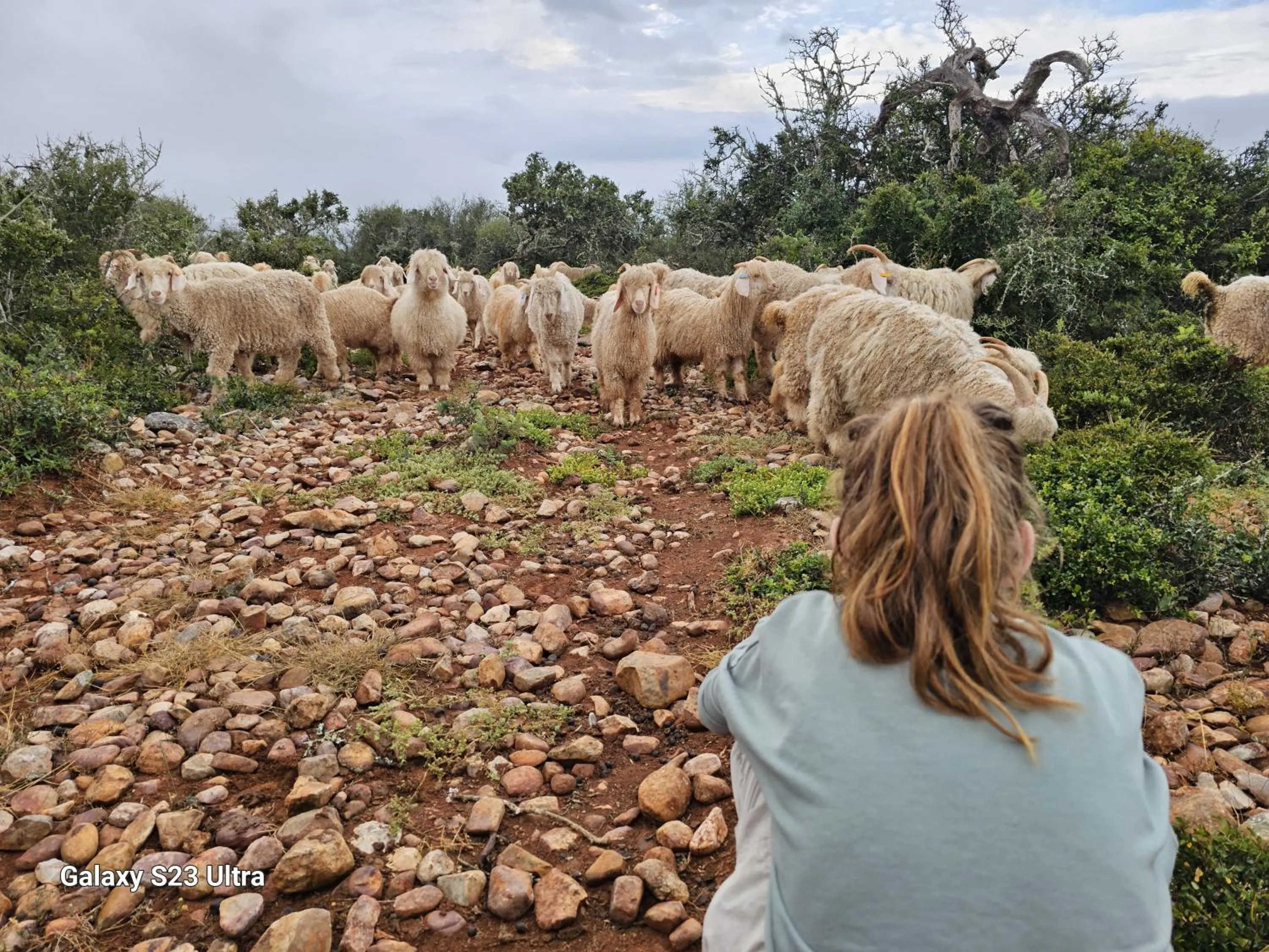 Activities in Valley Bushveld Country Lodge