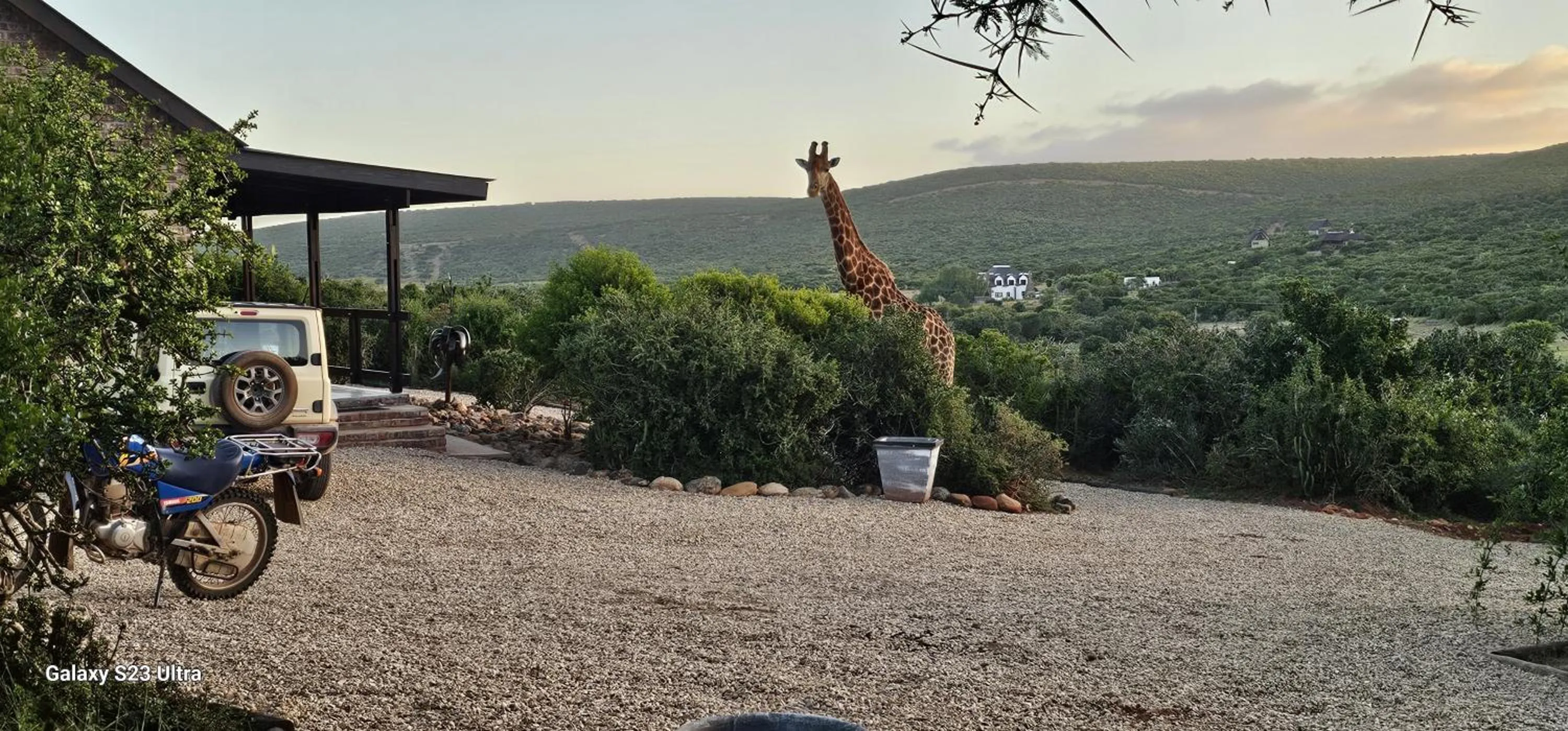 Animals in Valley Bushveld Country Lodge