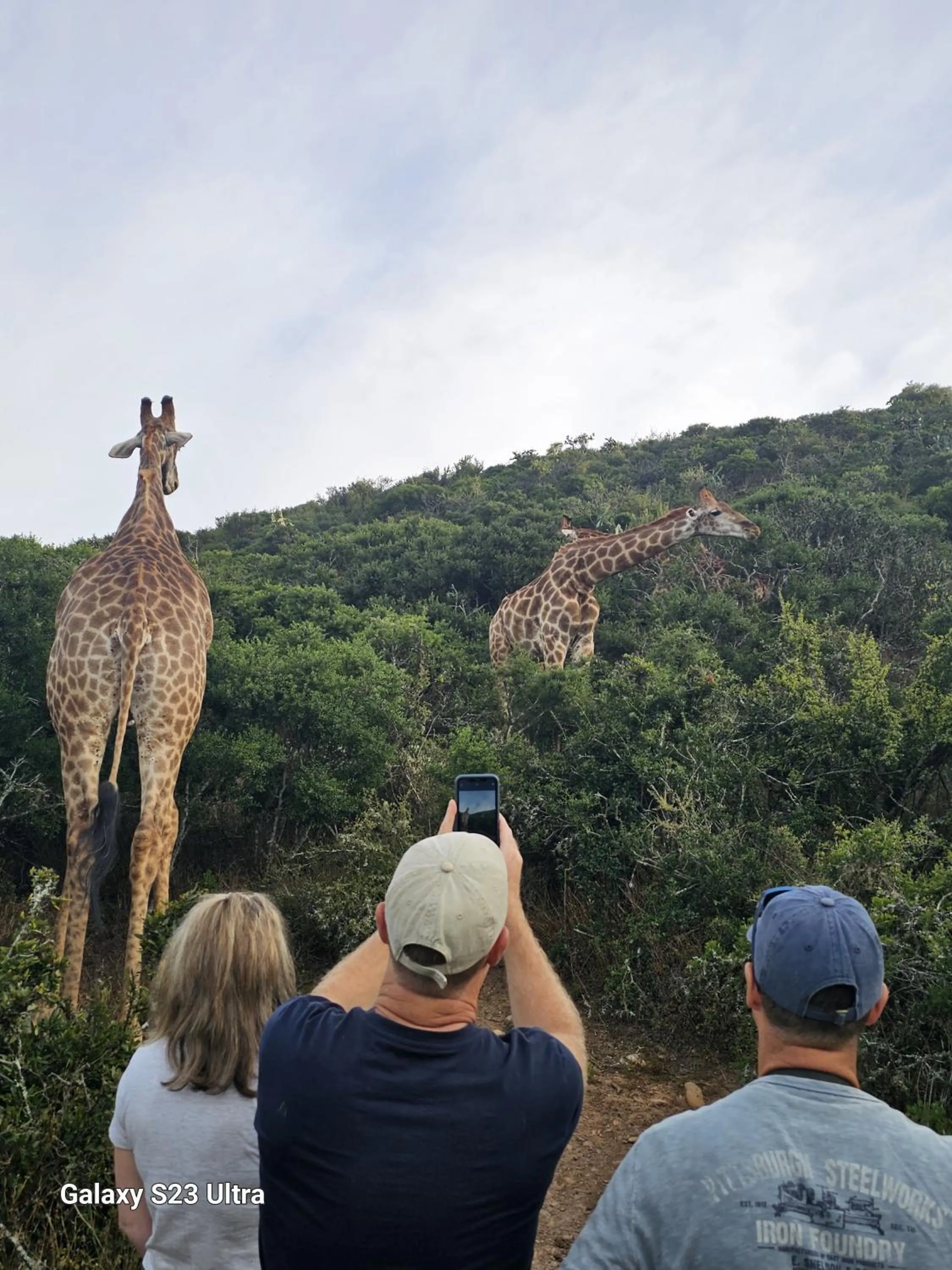 Animals in Valley Bushveld Country Lodge