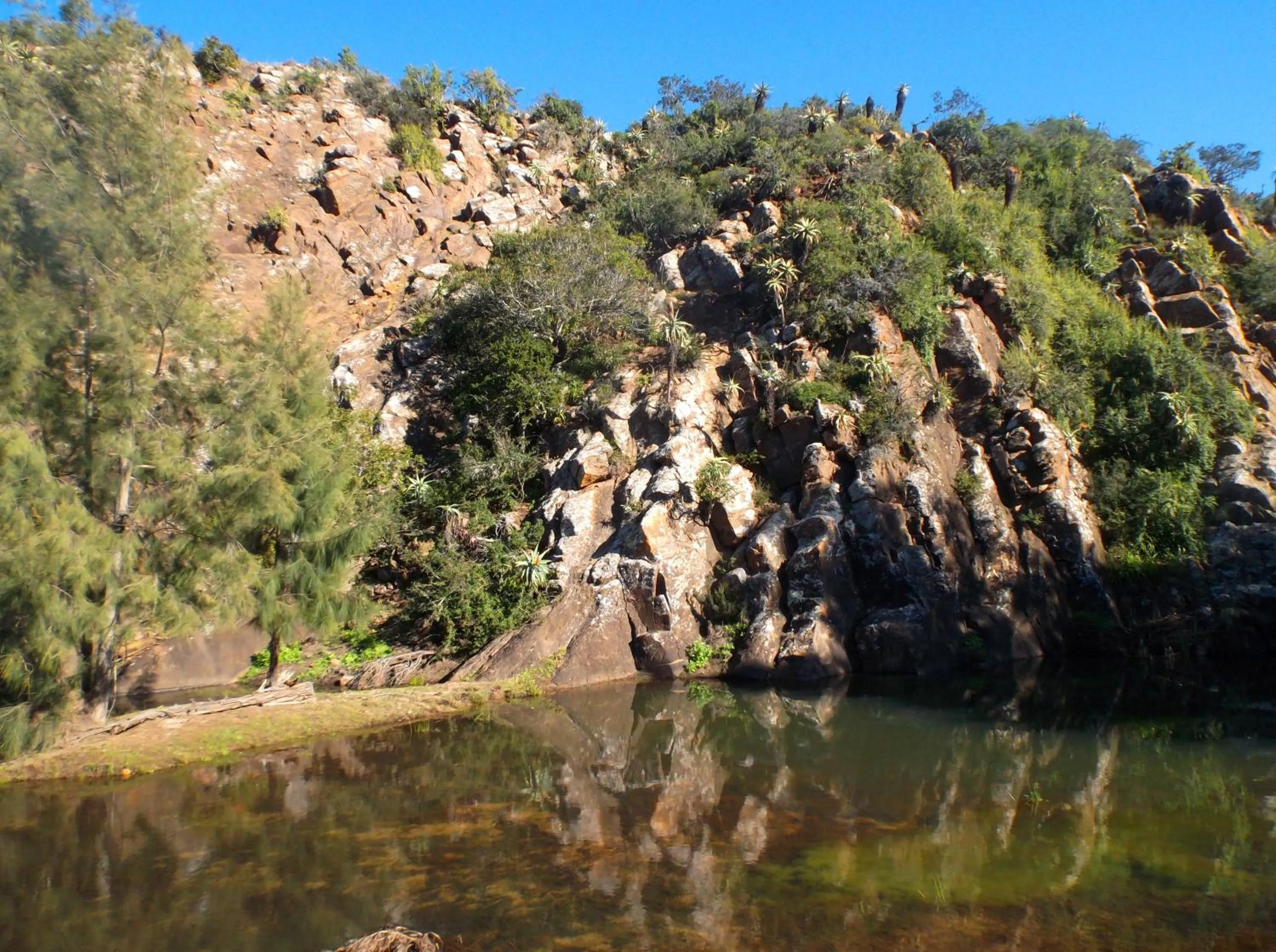 Natural landscape in Valley Bushveld Country Lodge