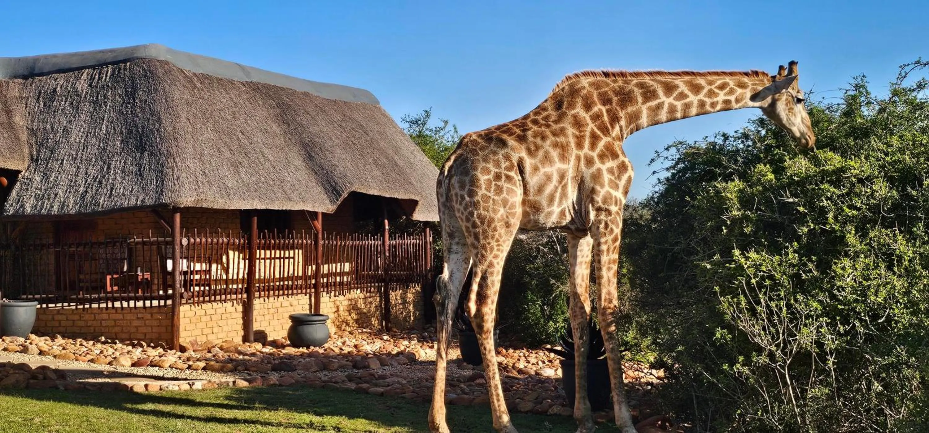 Property building in Valley Bushveld Country Lodge