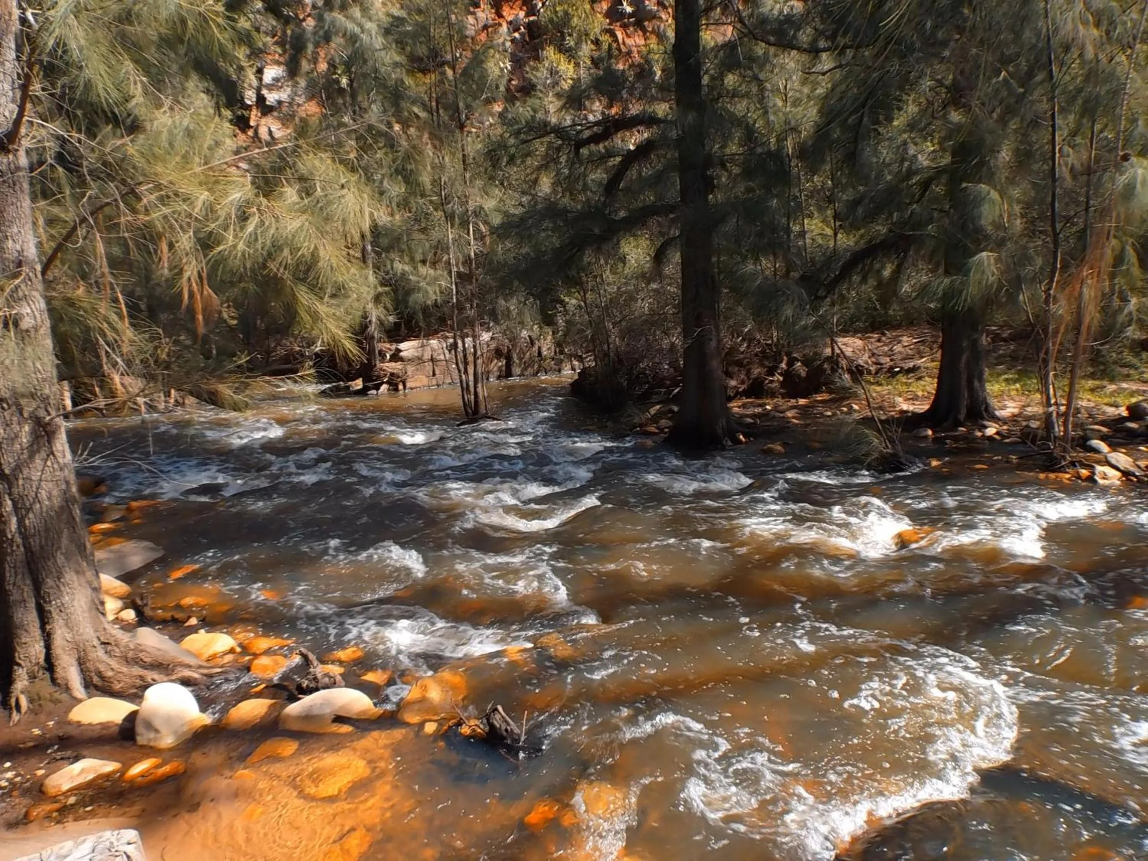 Day in Valley Bushveld Country Lodge