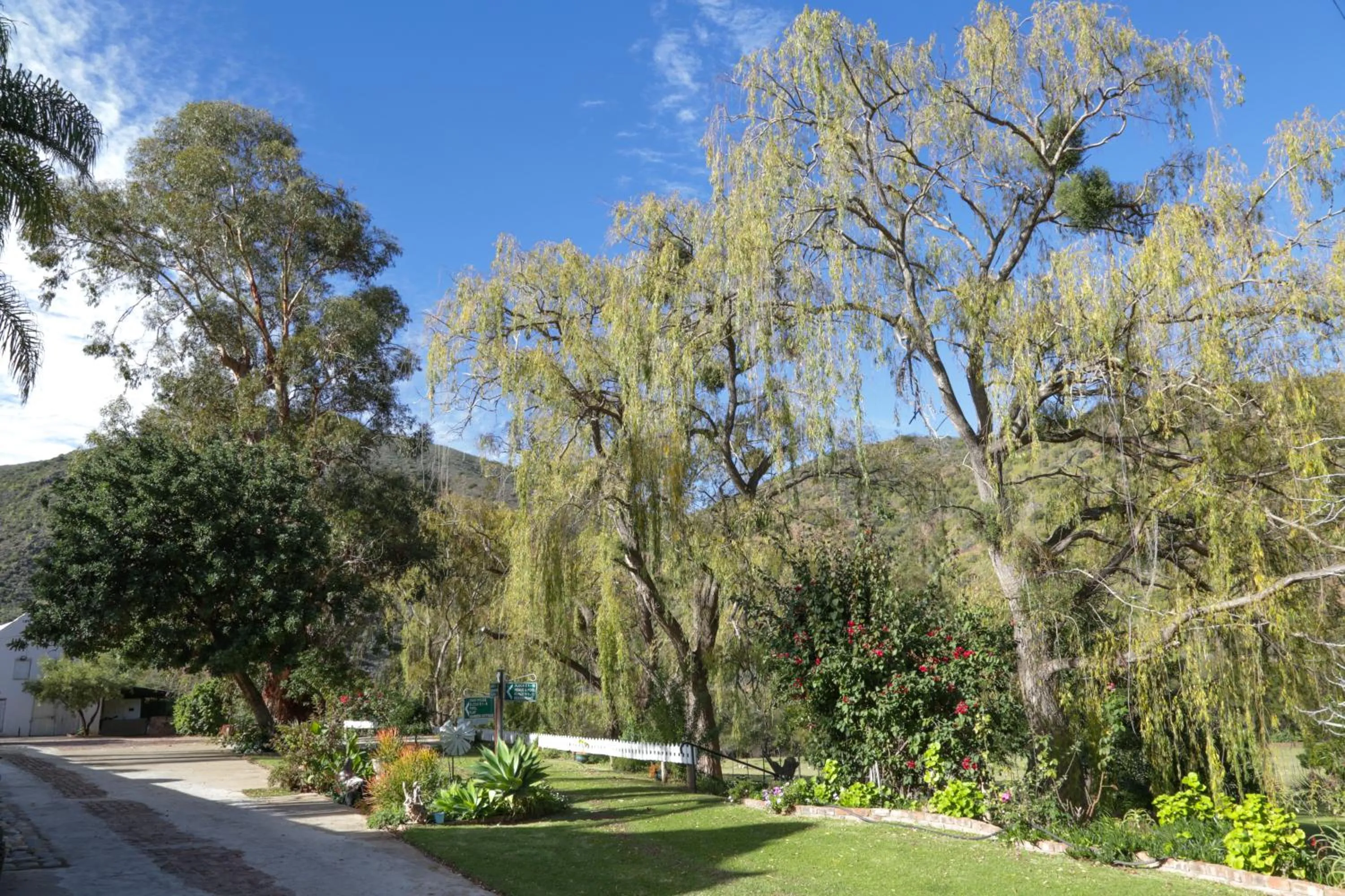 Garden in De Oude Meul Country Lodge & Restaurant