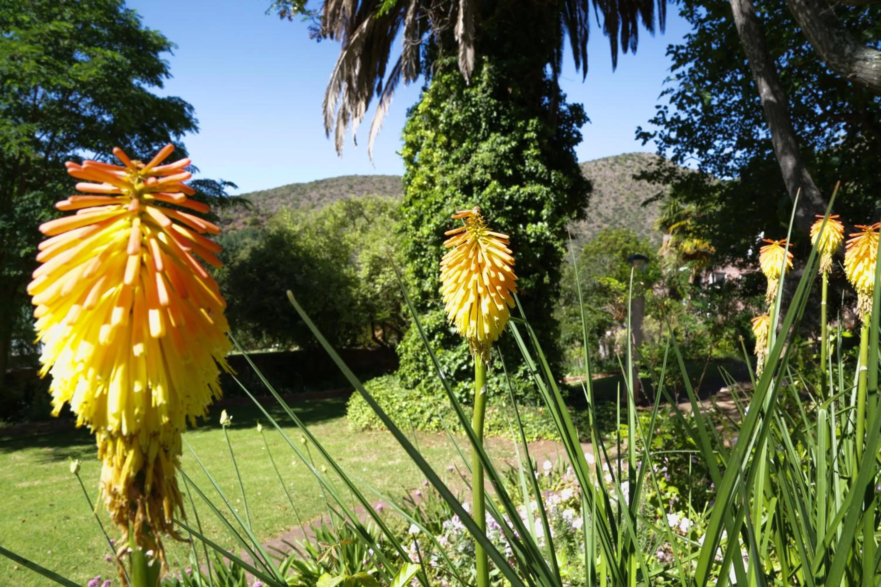 Natural landscape in De Oude Meul Country Lodge & Restaurant