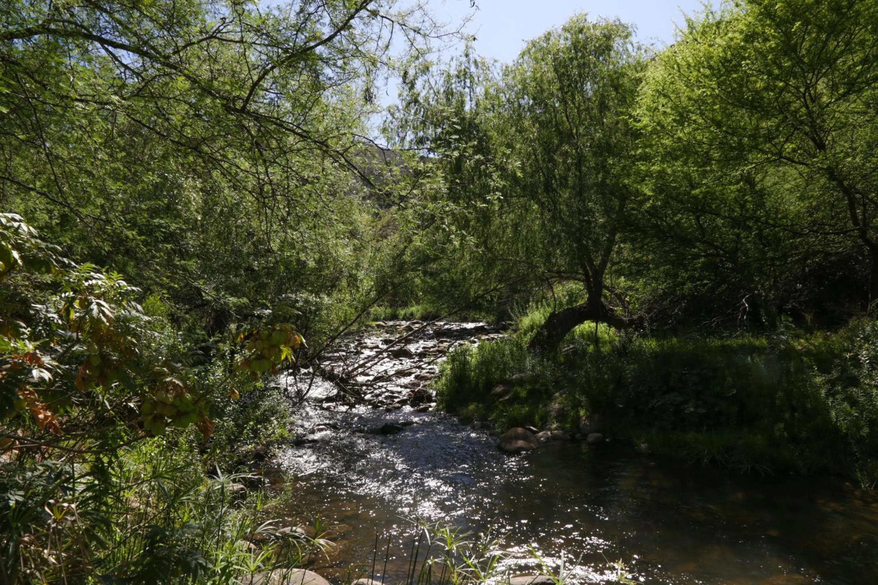 Natural landscape in De Oude Meul Country Lodge & Restaurant