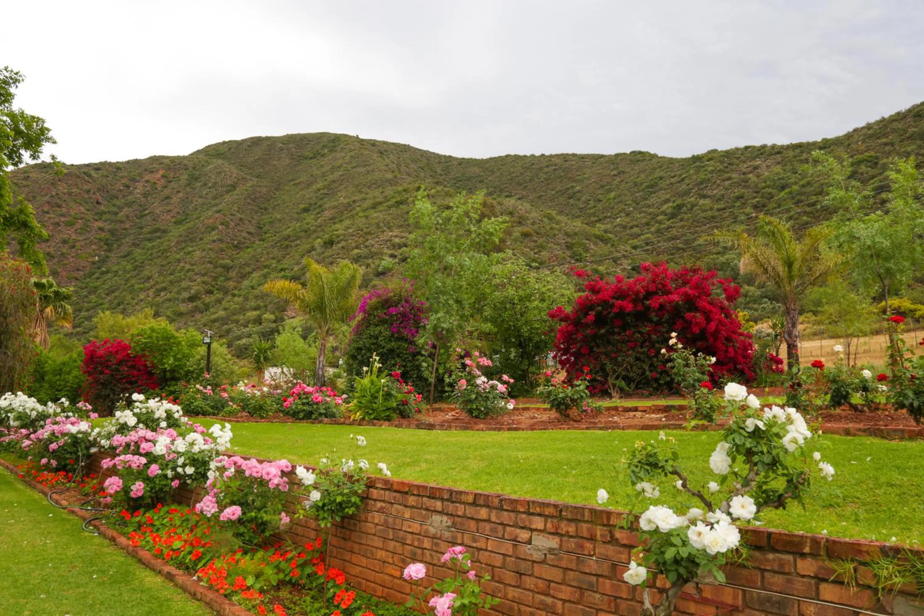 Garden in De Oude Meul Country Lodge & Restaurant