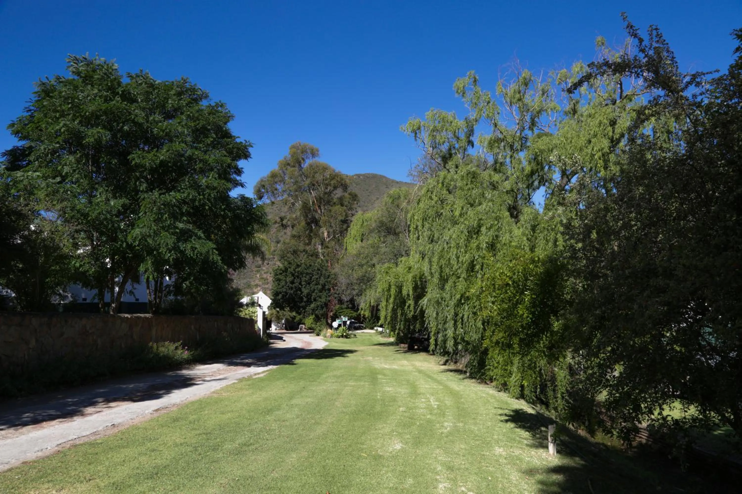 Garden in De Oude Meul Country Lodge & Restaurant