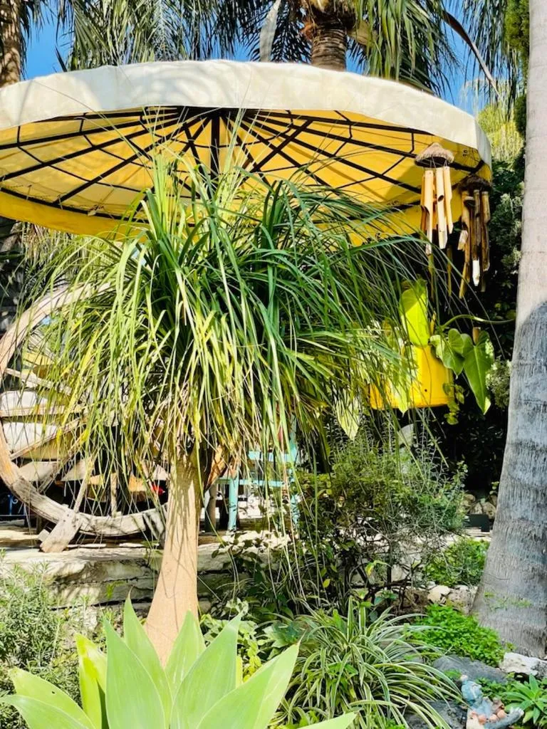 Garden in Out of Africa Resort