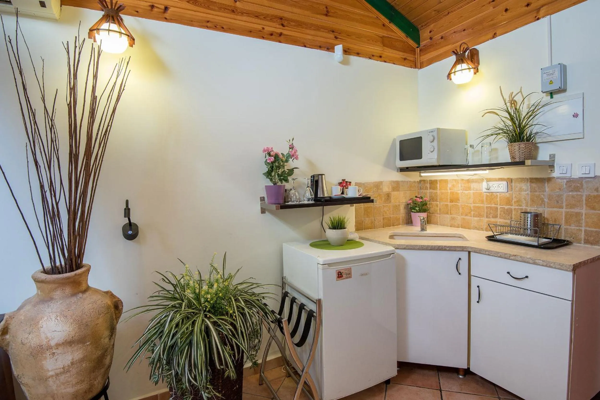 Kitchen or kitchenette in Out of Africa Resort