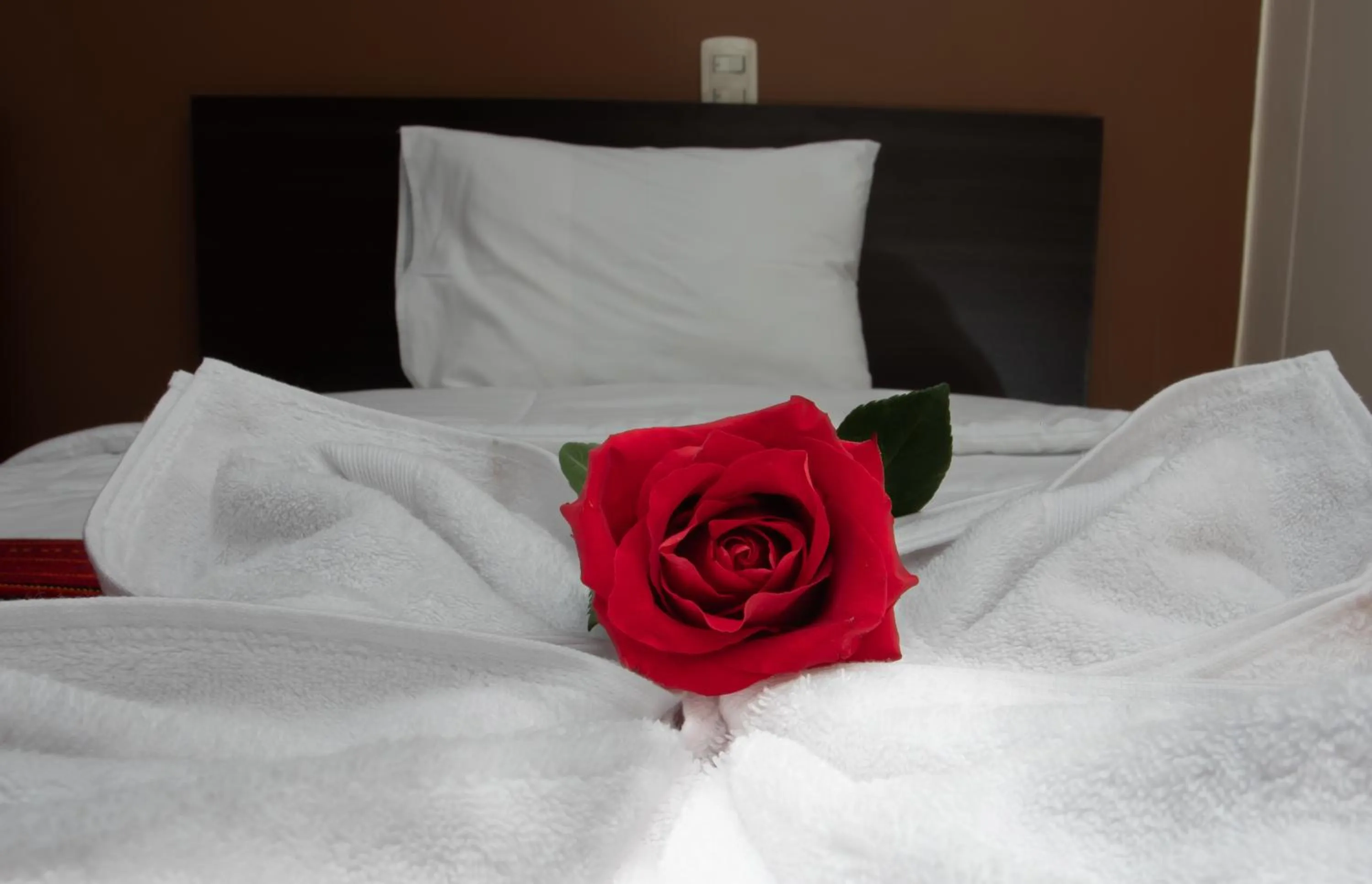 Bed in Kapac Inn Hotel