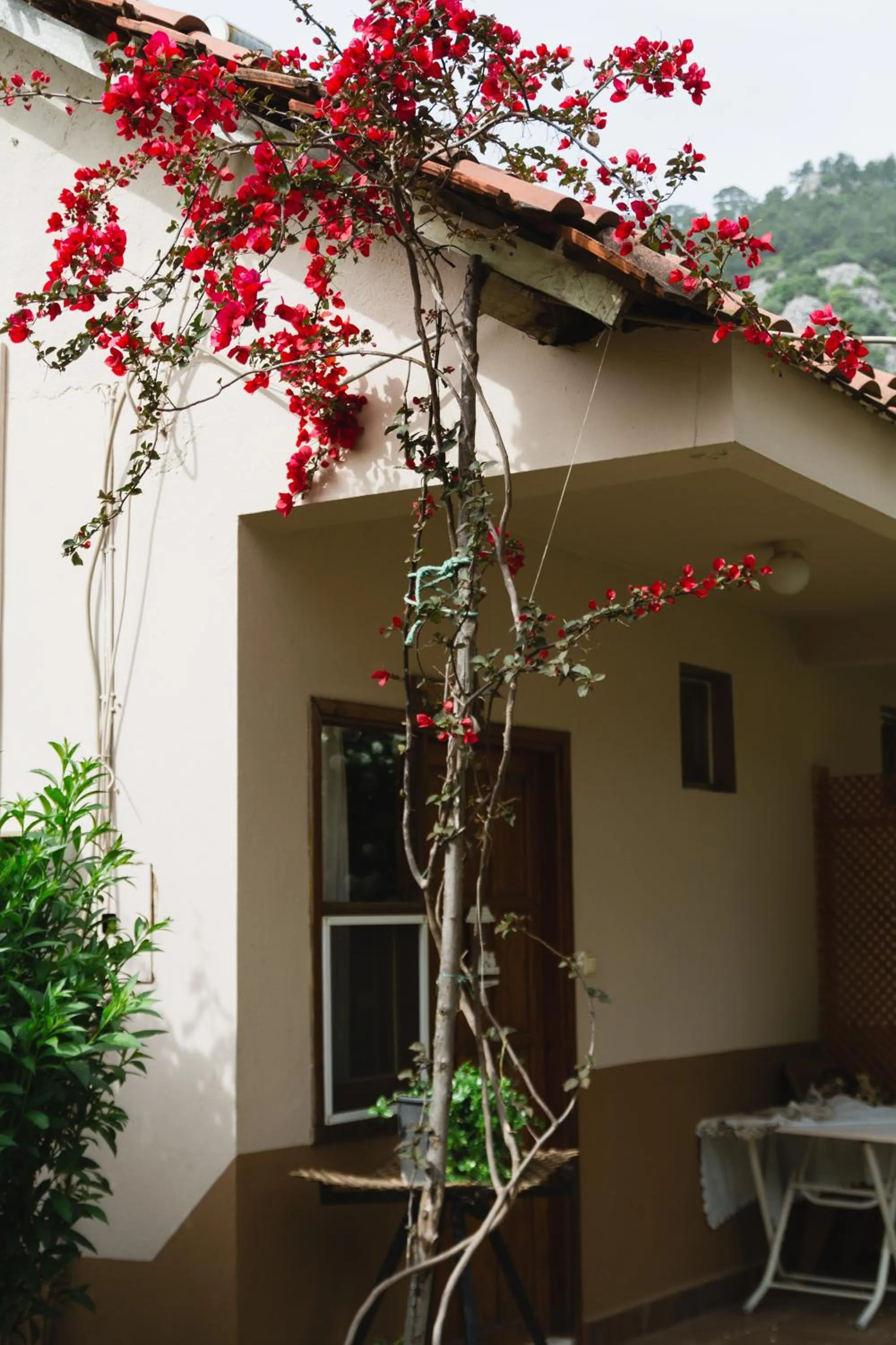 Property building in Village Garden Pansiyon