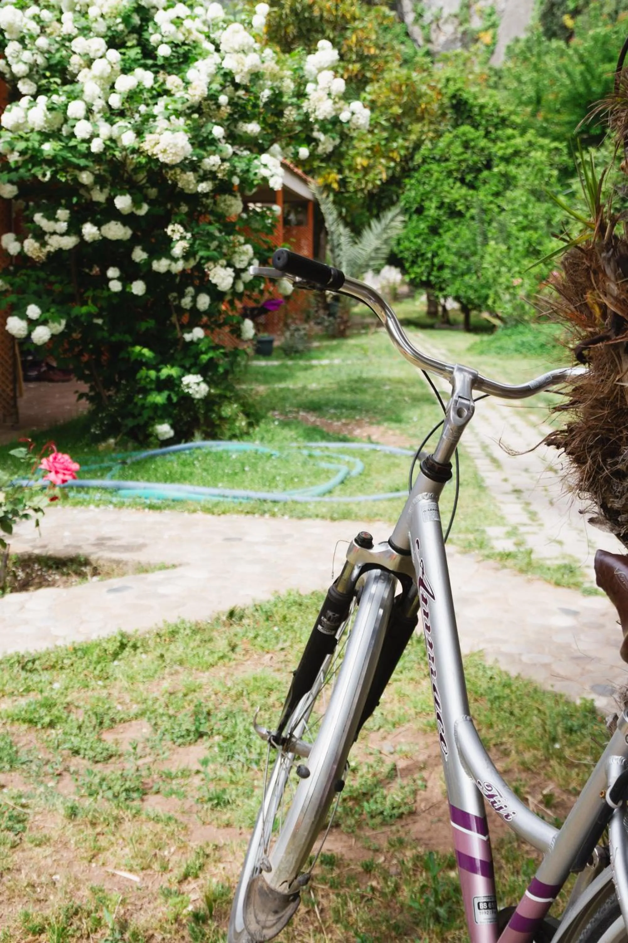 Activities in Village Garden Pansiyon