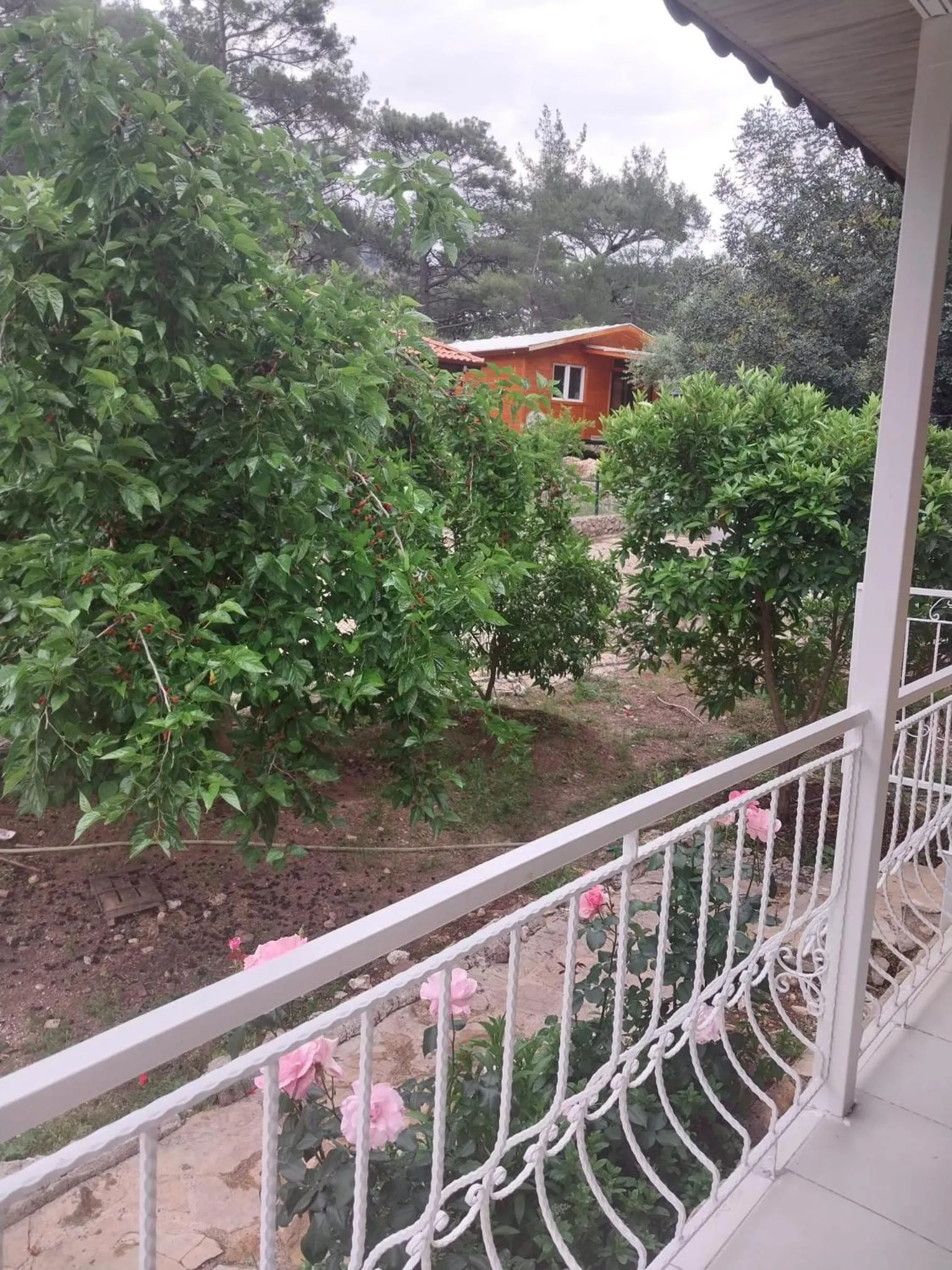 View (from property/room) in Village Garden Pansiyon