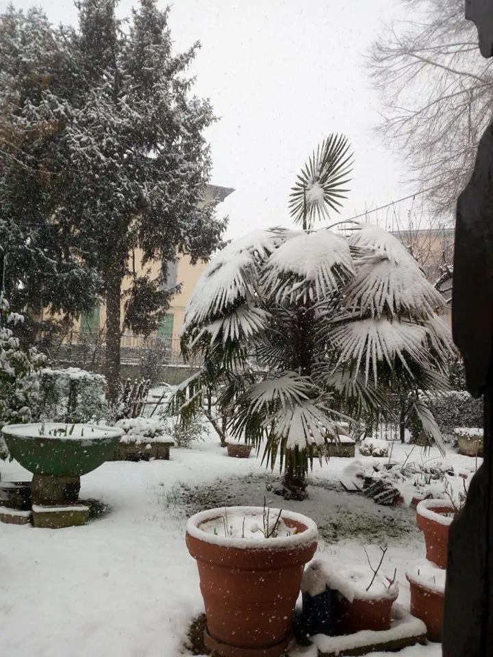 Garden view in B&B delle Arti