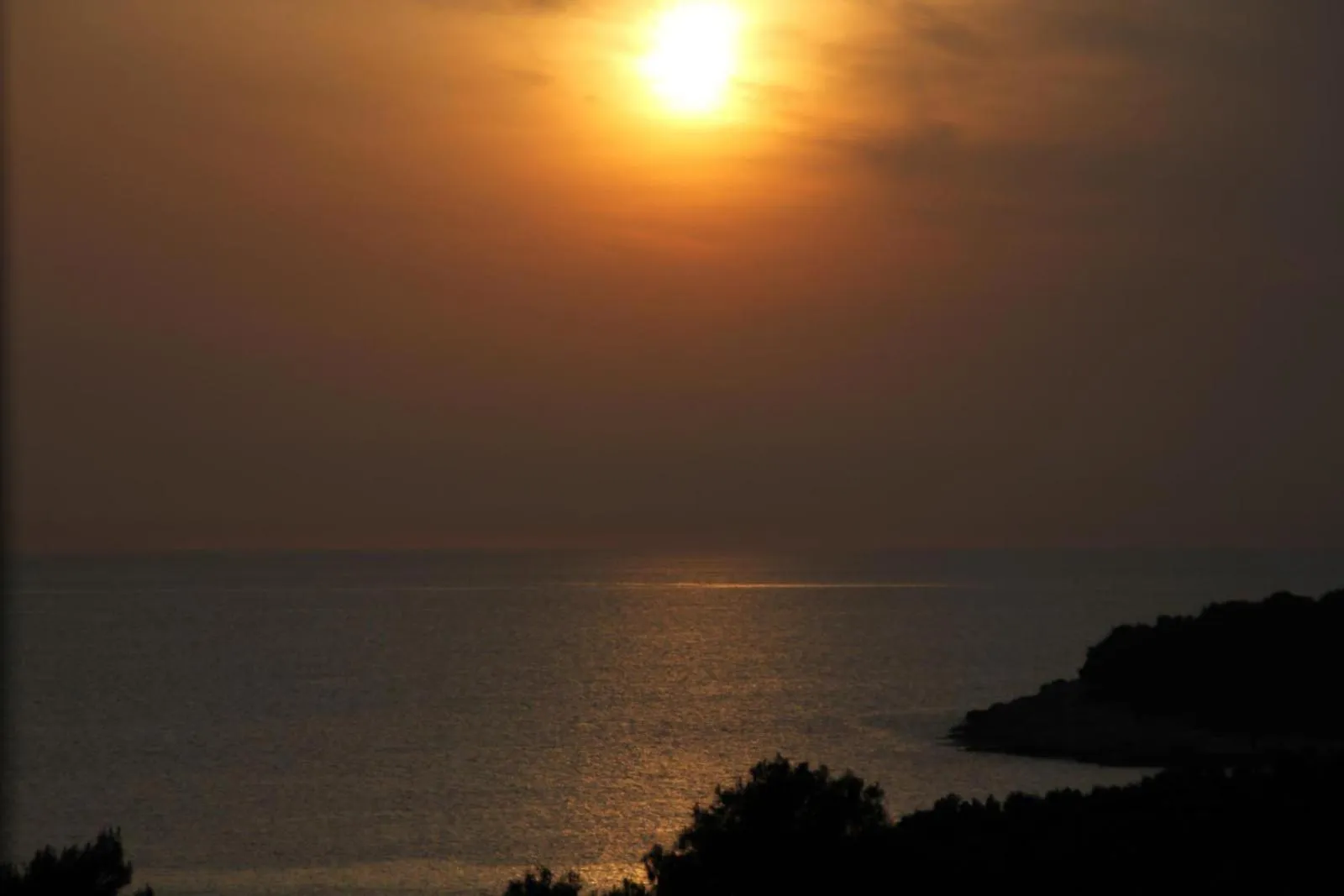 View (from property/room) in Hotel Pula